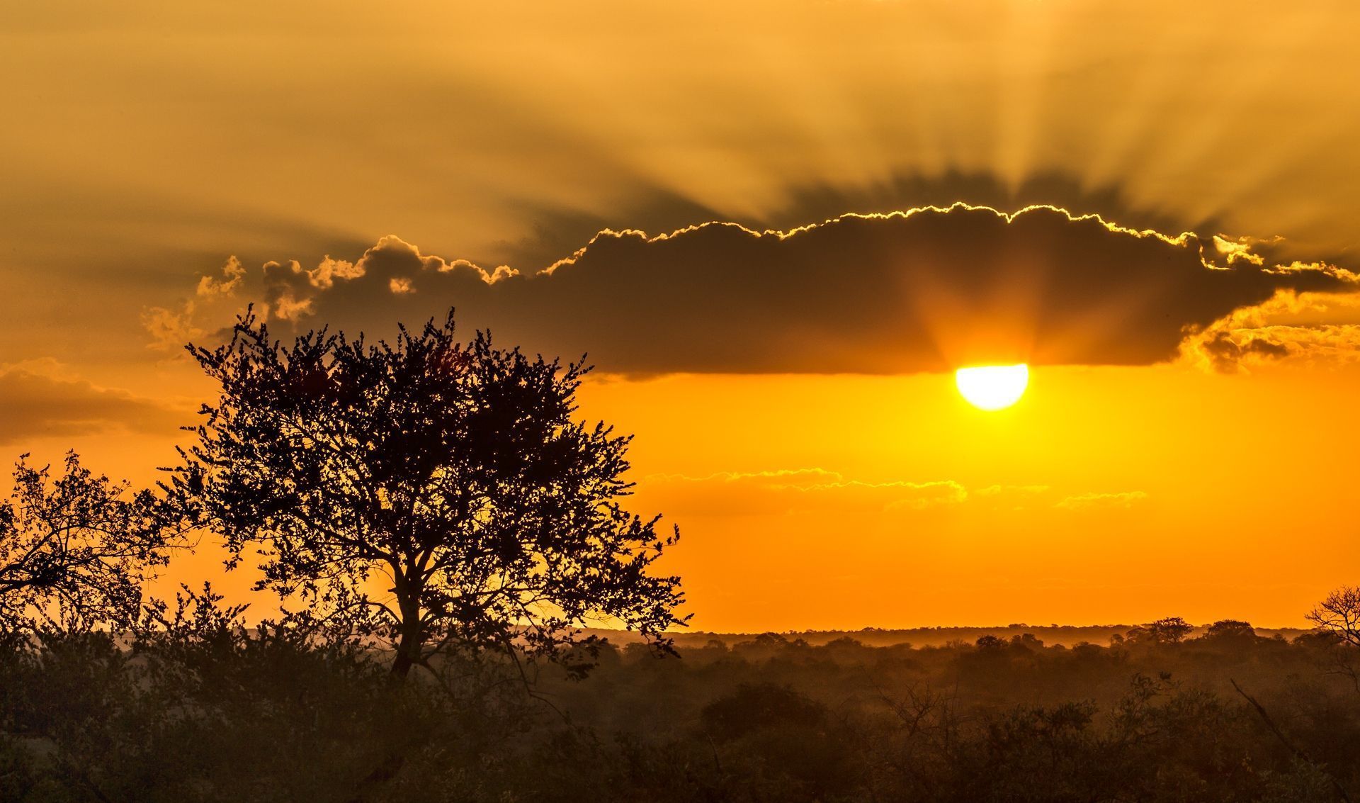 1920x1133 Kruger National Park sunset, wallpaper