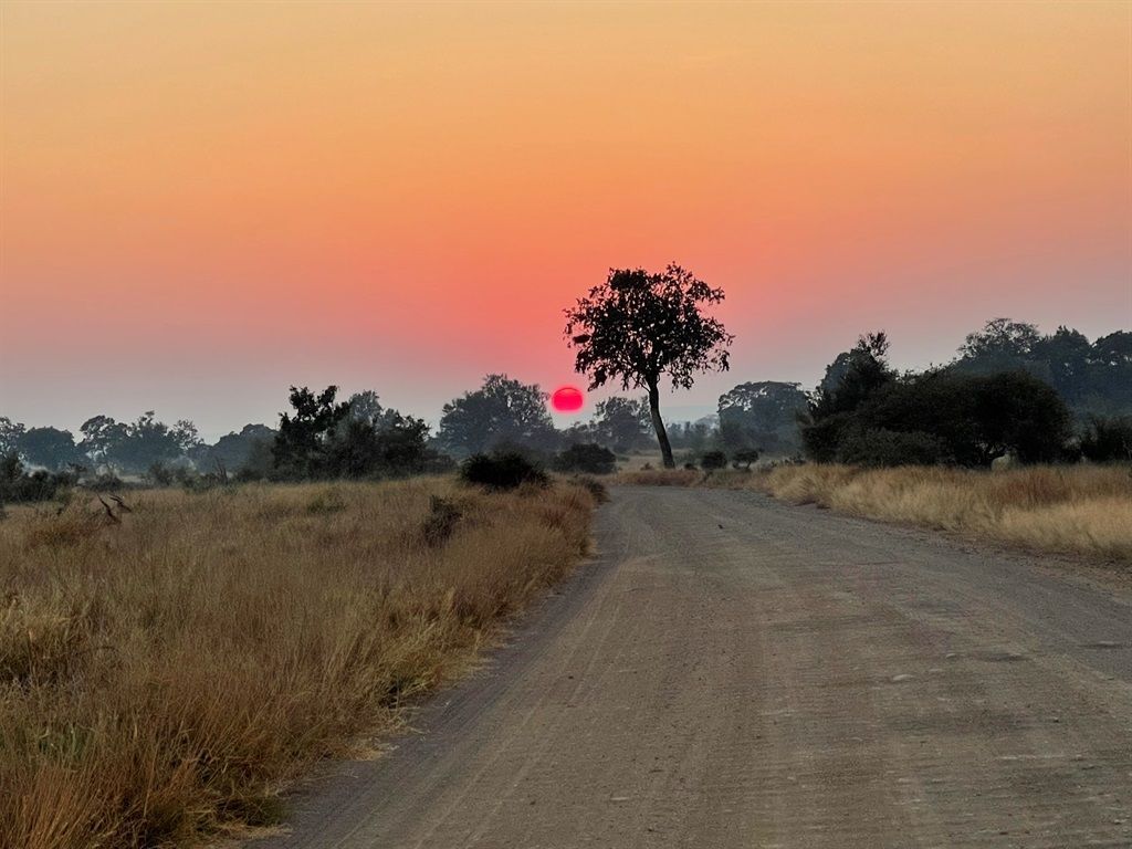 Kruger National Park Wallpapers - Top Free Kruger National Park ...