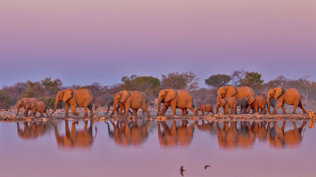 1280x720 Bing Wallpaper Archive