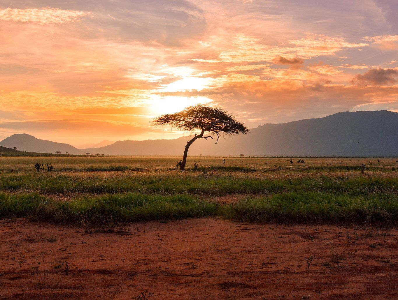 1365x1030 Kruger National Park in South Africa