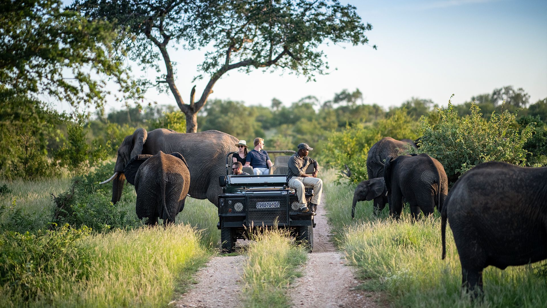1920x1080 Is a Kruger National Park Safari Enough