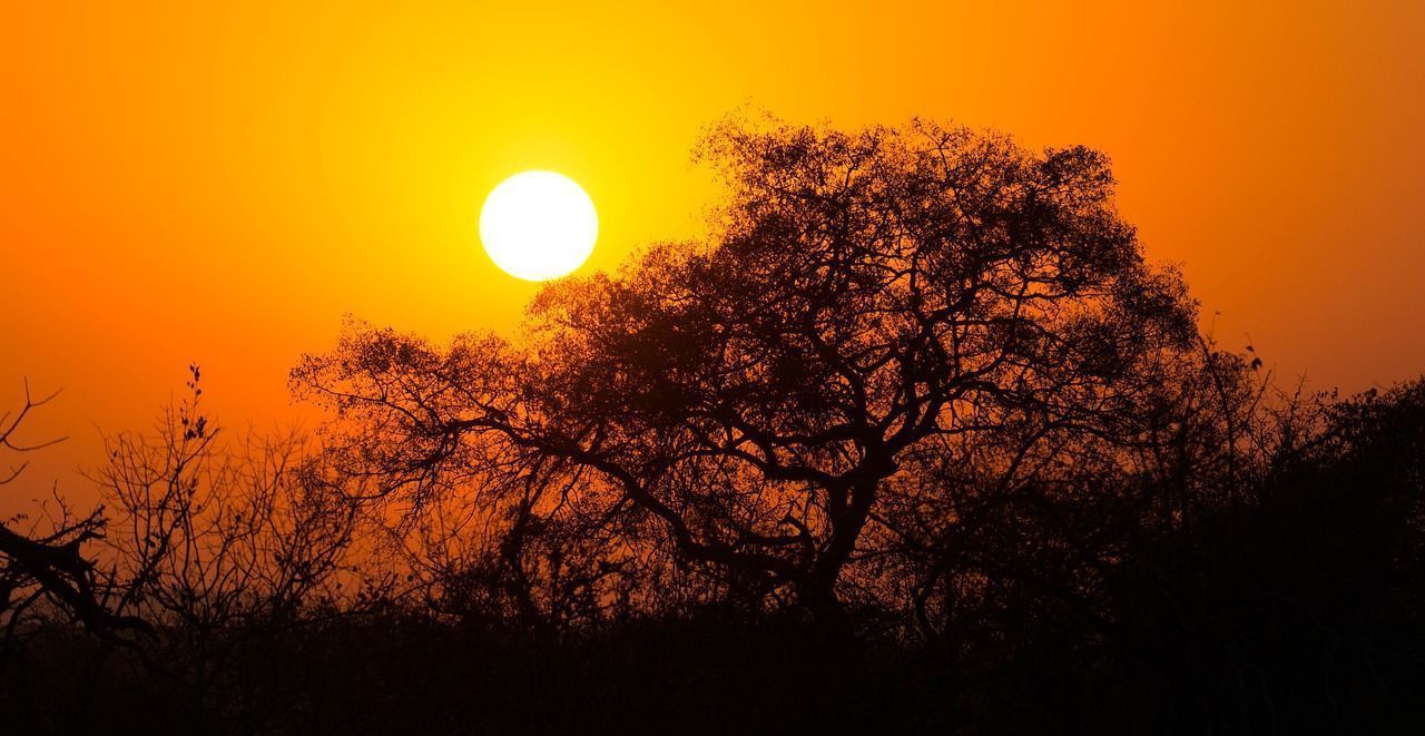1280x661 Free Kruger & South Africa Image