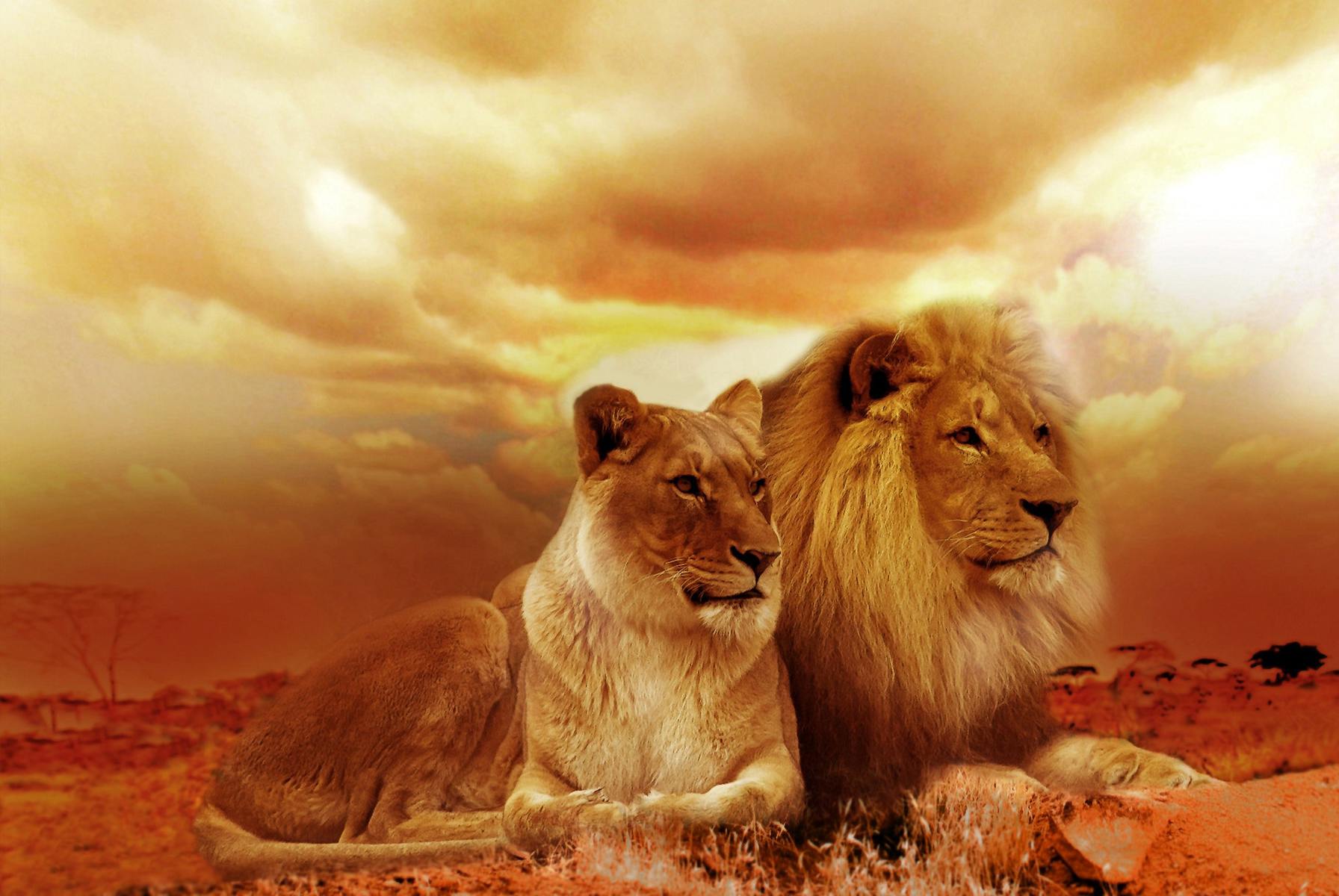 1792x1200 Kruger National Park and Johannesburg