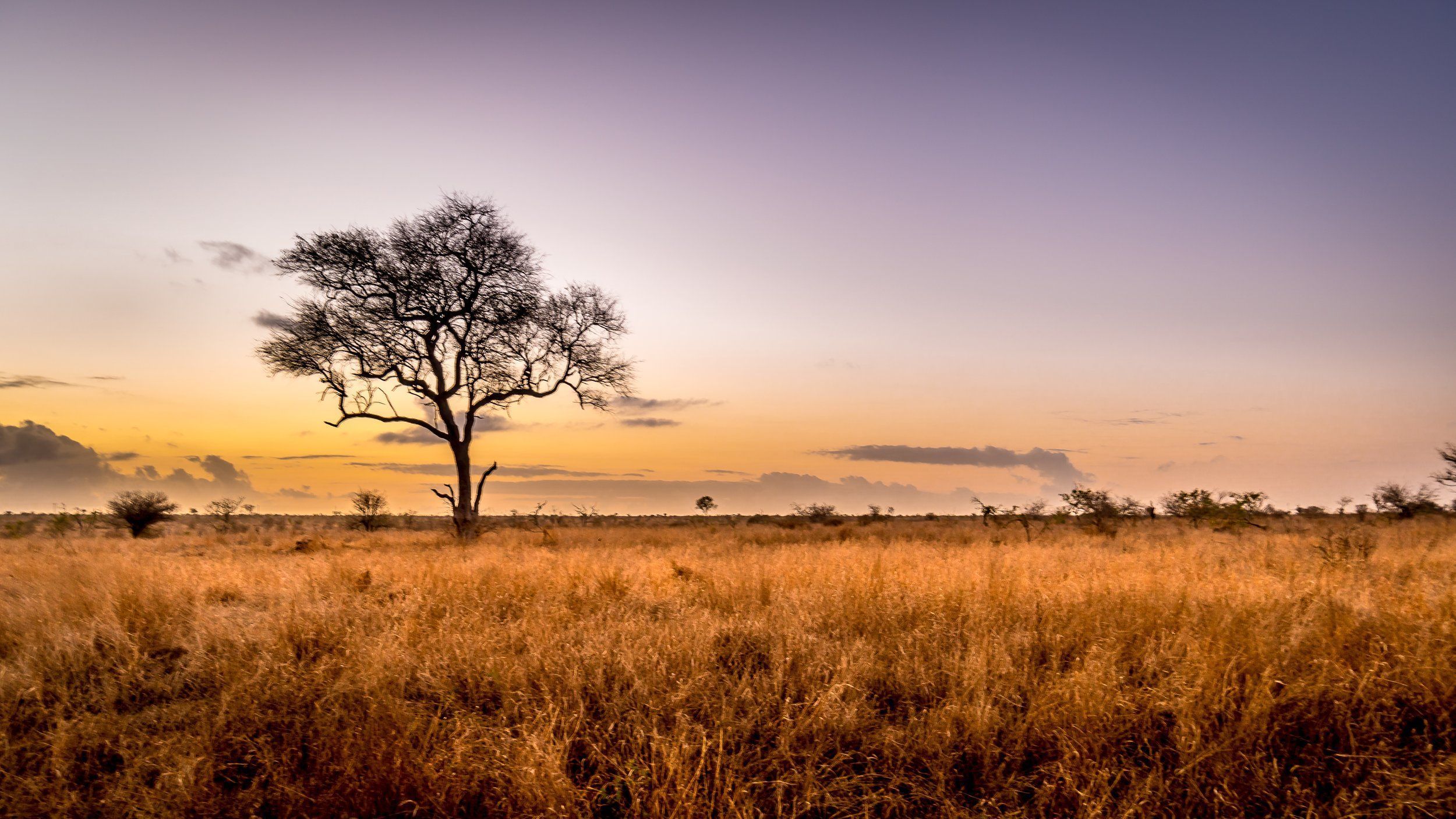 2500x1406 Guide to Kruger National Park