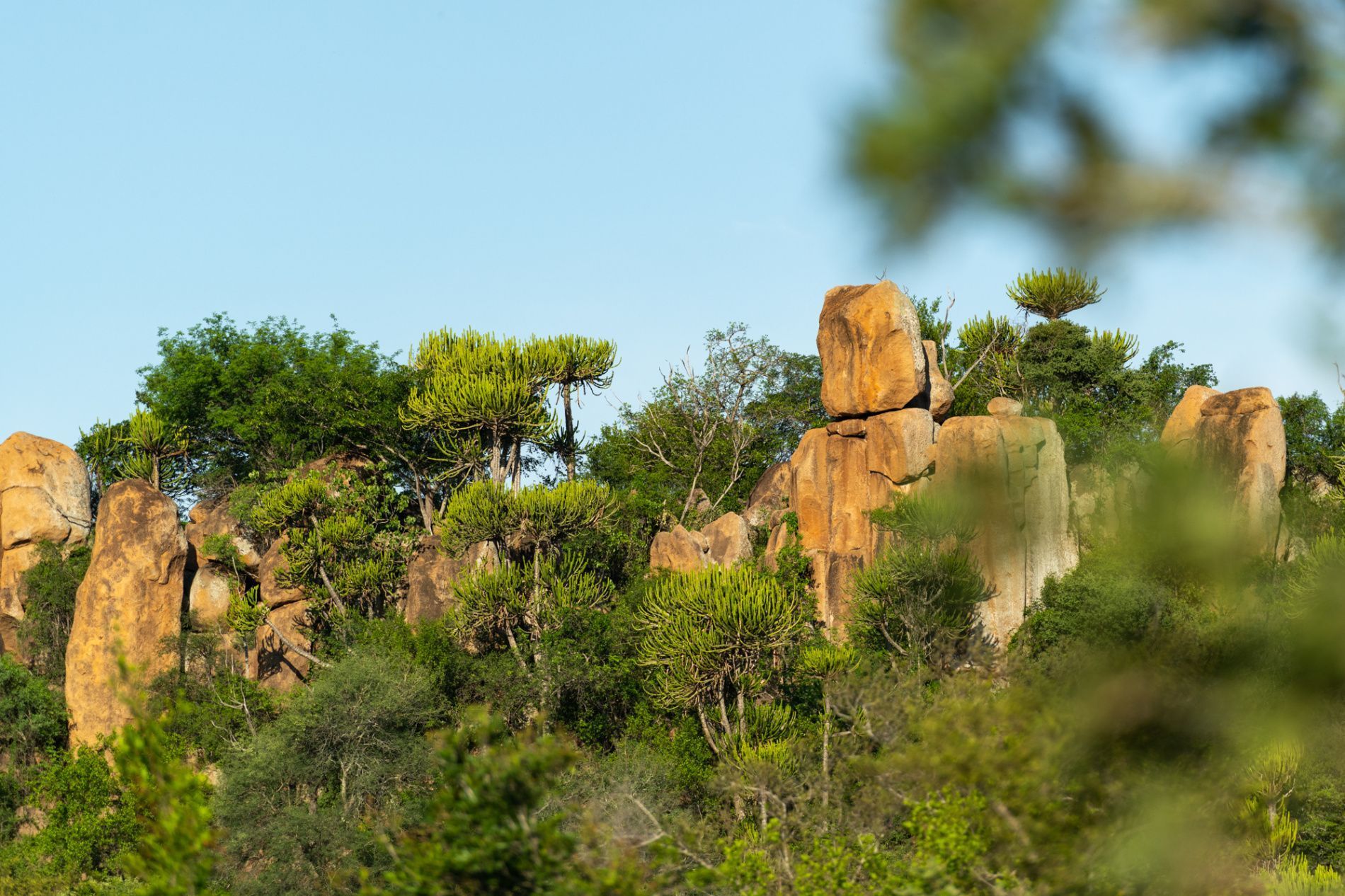 1900x1266 Singita Kruger National Park, South