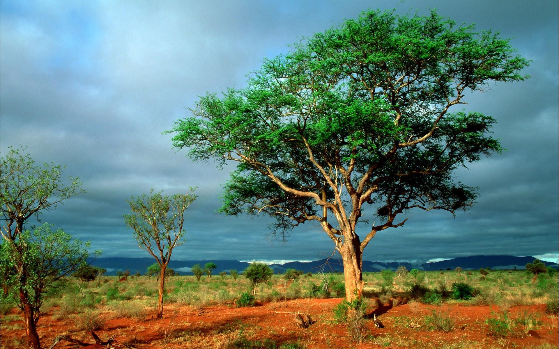 1920x1200 National Park Desktop Wallpaper