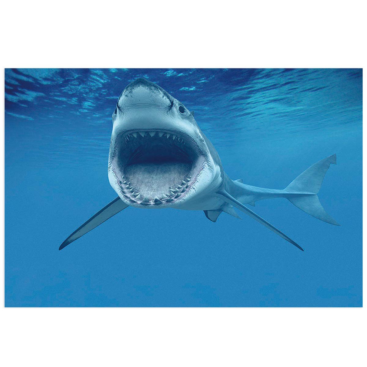 1200x1200 Aquarium Poster Background Decor Paper