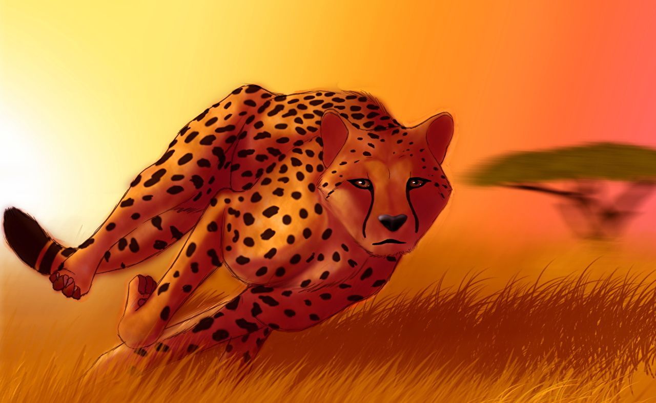 1280x787 Big cats Run Grass animal Painting Art
