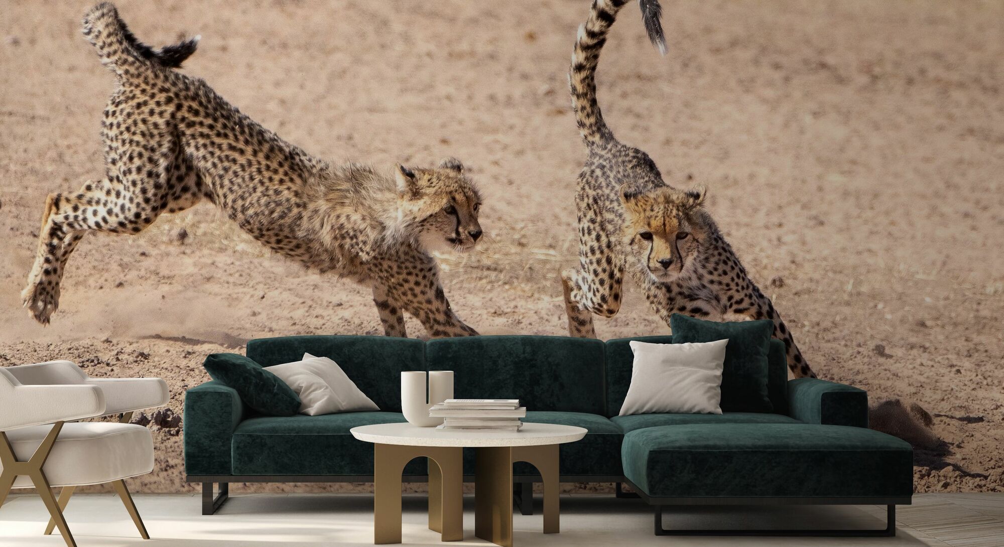 2000x1090 Running Cheetah