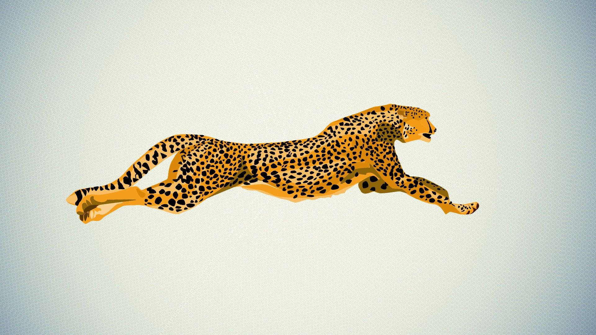 1920x1080 Cheetah Wallpaper