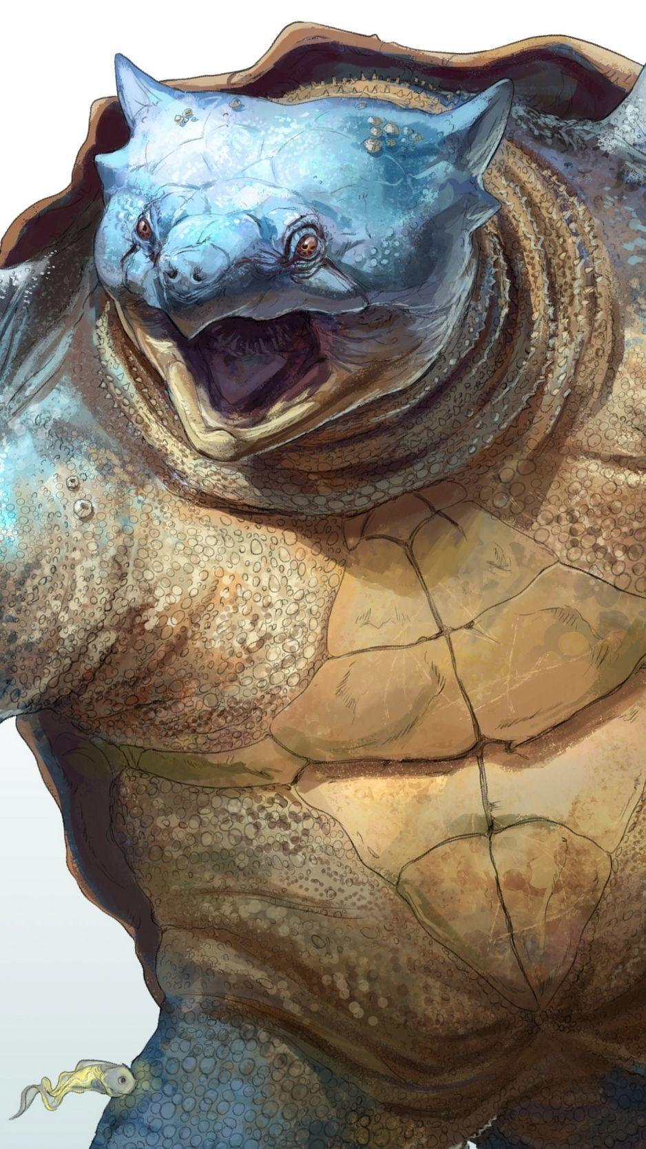 938x1668 Download wallpaper 938x1668 blastoise, pokemon, turtle