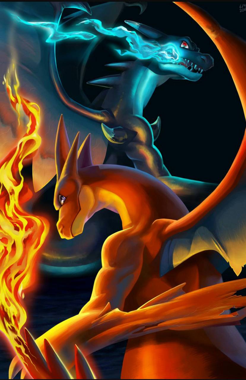 829x1280 Mega Charizard X Y wallpaper