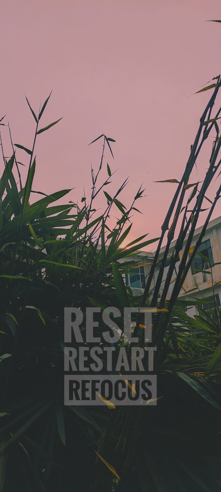 Reset Wallpapers - Top Free Reset Backgrounds - WallpaperAccess