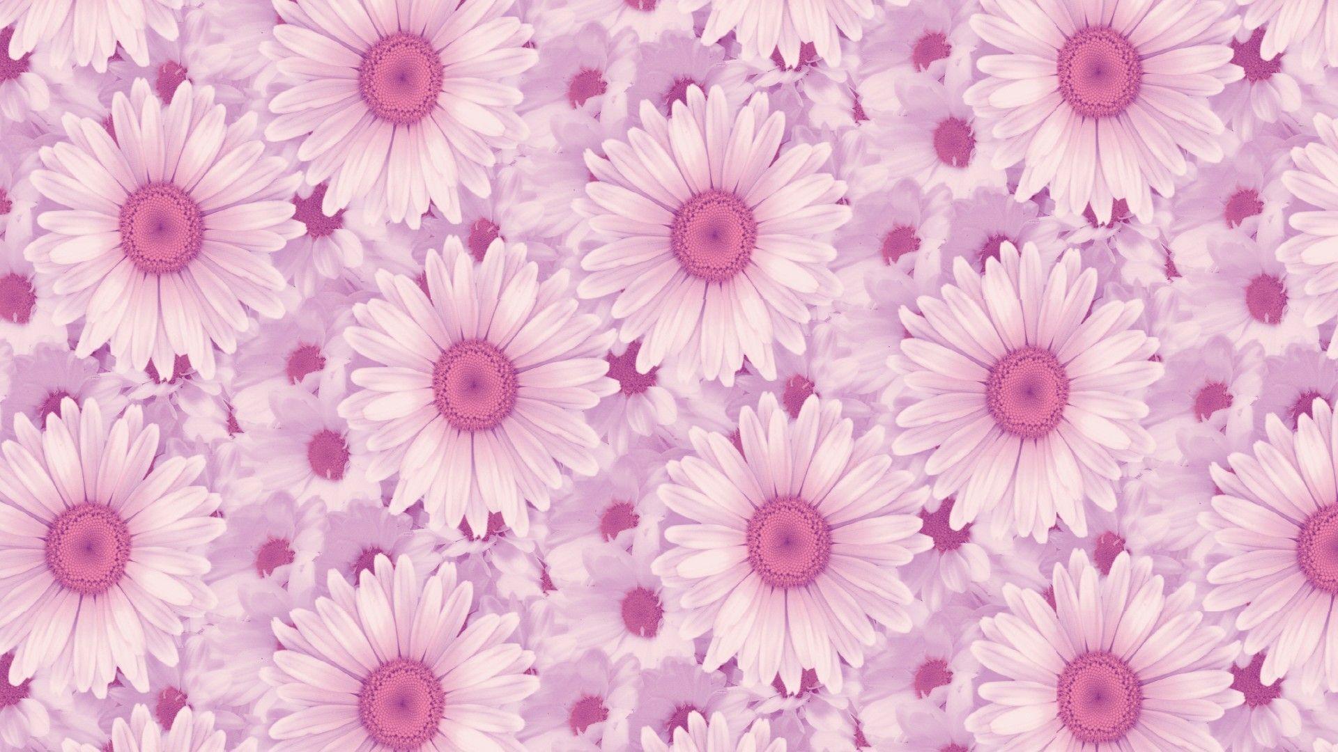 Pink Aesthetic Tumblr Desktop Wallpapers - Top Free Pink ...