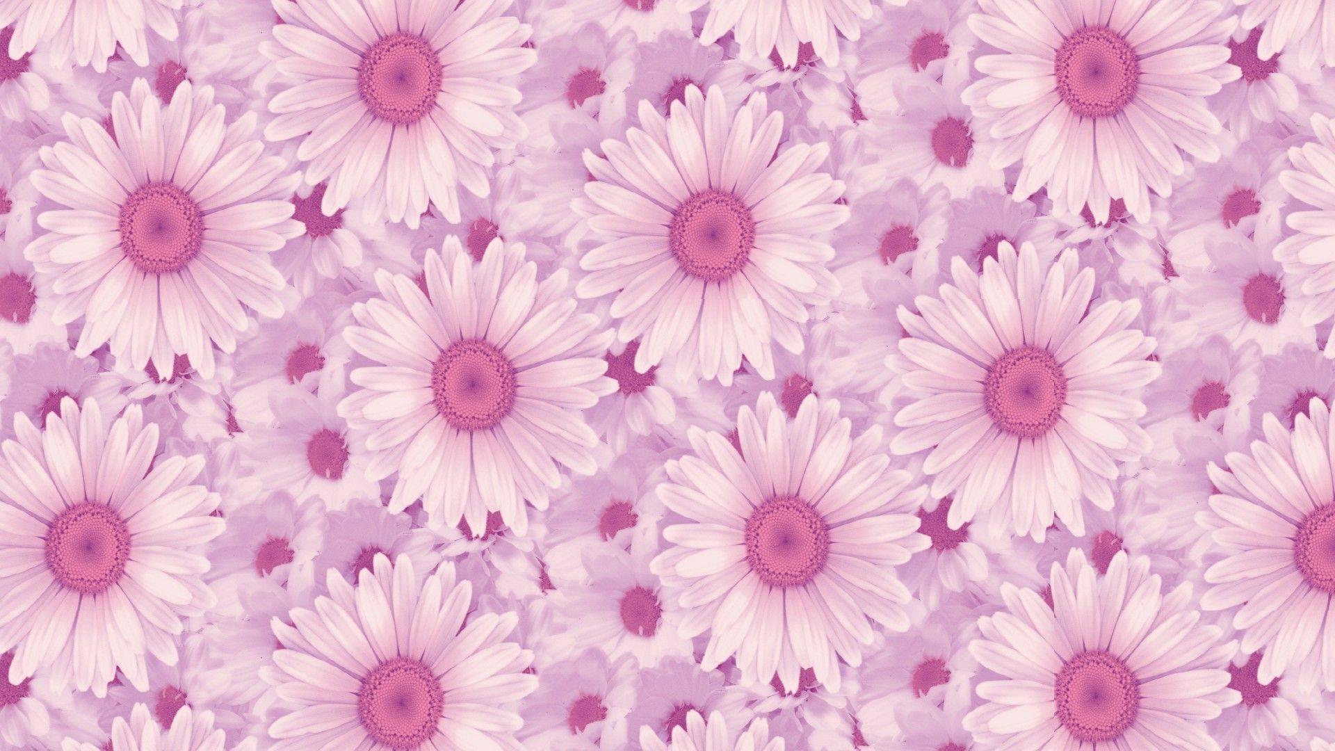 Pink Aesthetic Tumblr Laptop Wallpapers Top Free Pink Aesthetic Pink Aesthetic Tumblr Laptop Wallpapers Top Free Pink Aesthetic