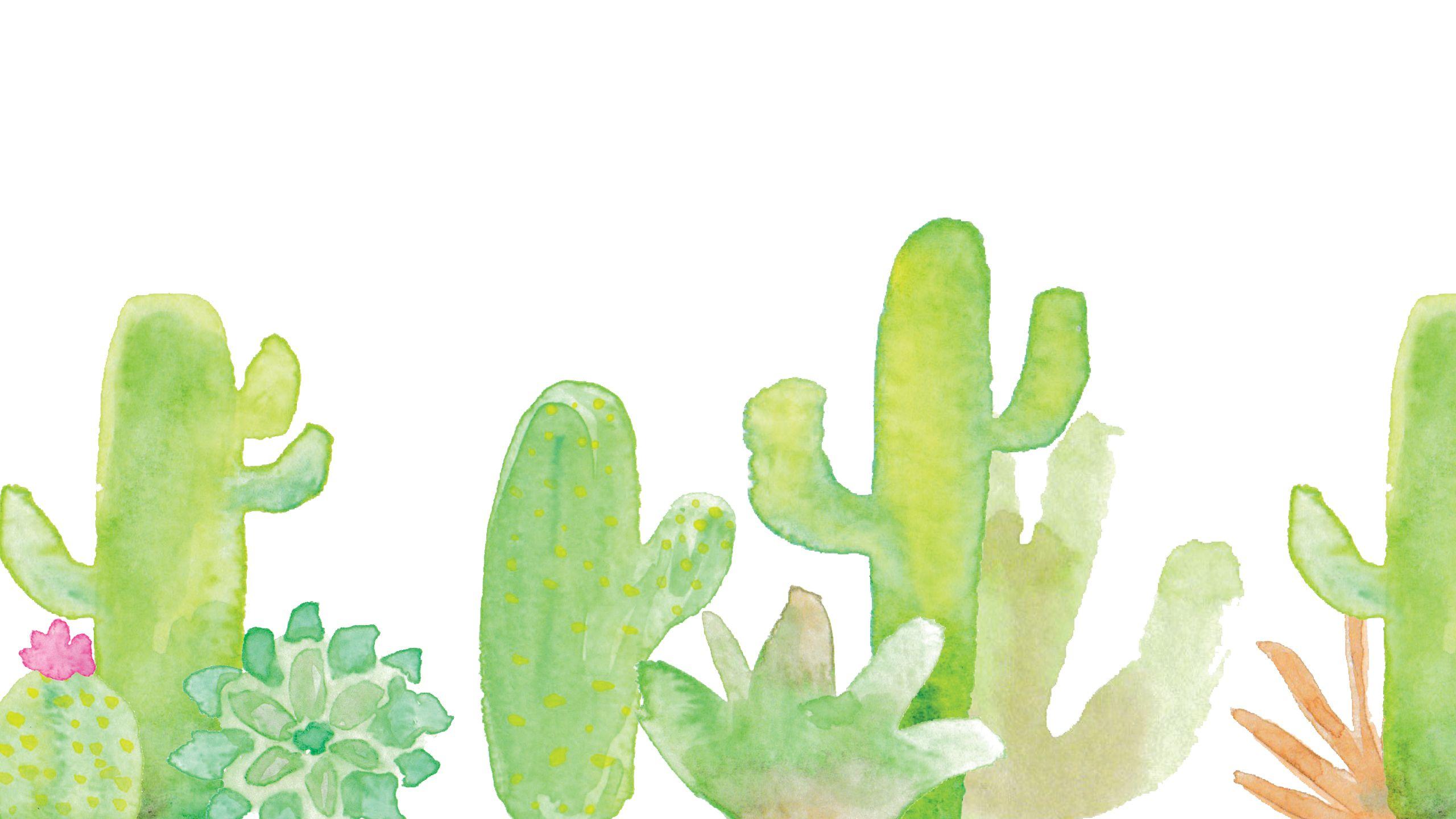 Cute Cactus Desktop Wallpapers - Top Free Cute Cactus Desktop