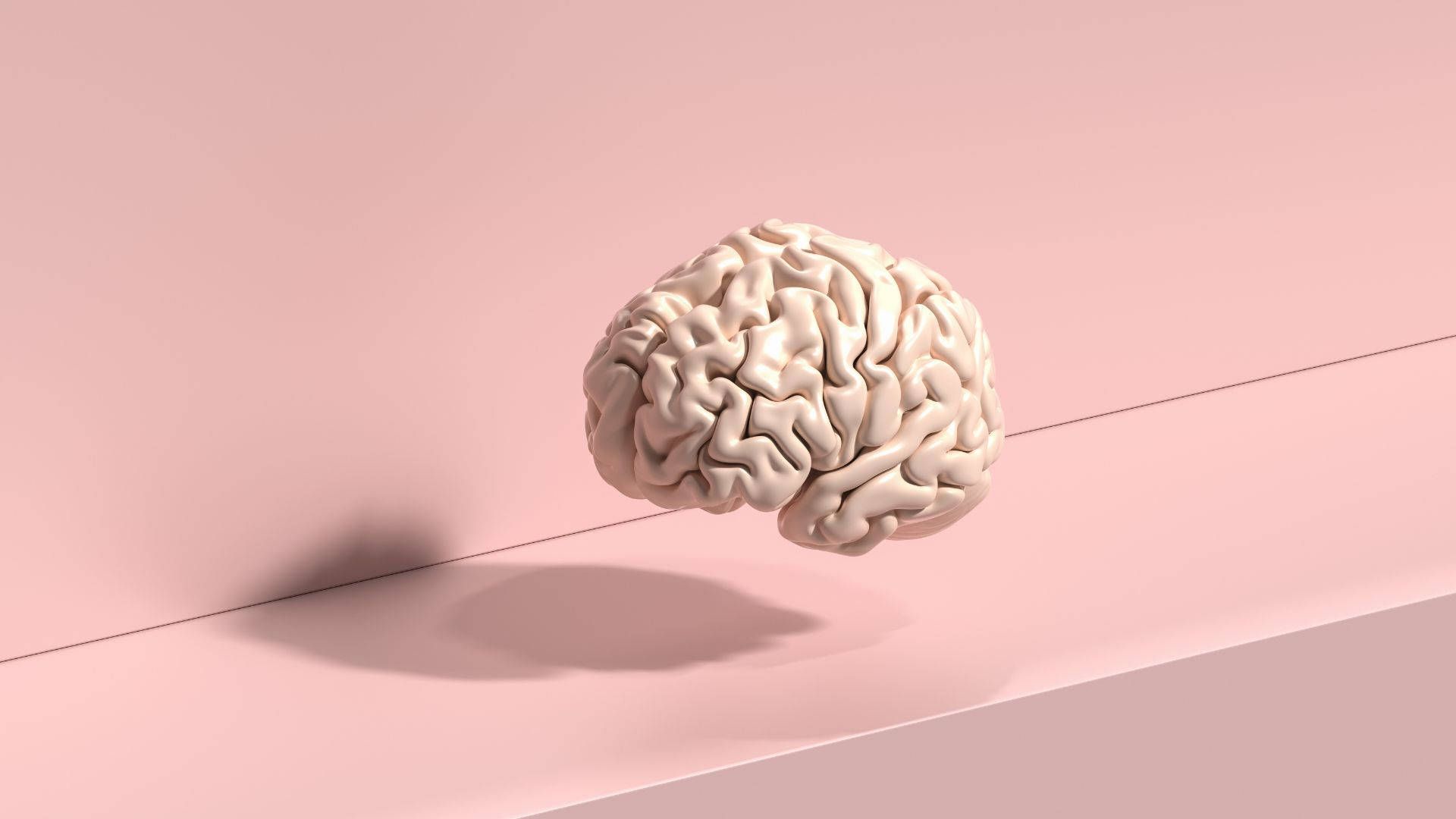 1920x1080 Download Psychology Human Brain Model Wallpaper
