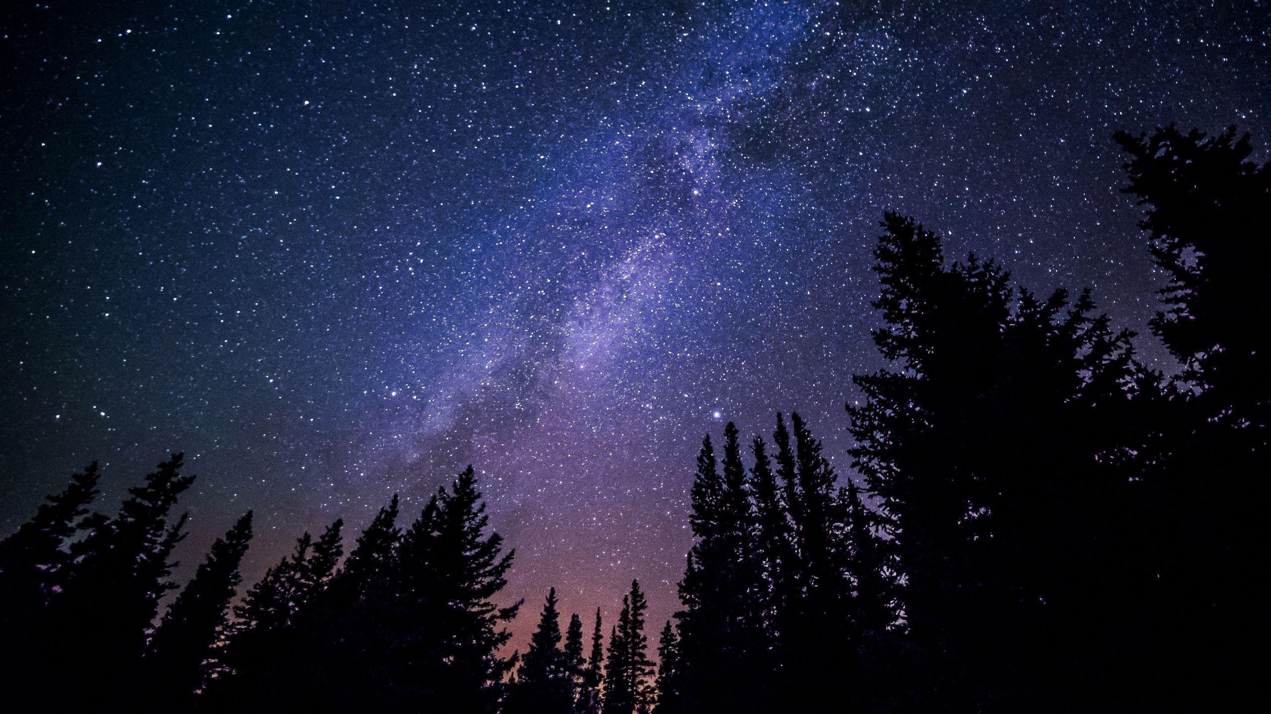 2560x1439 Night Sky Wallpaper HD Download Free Image