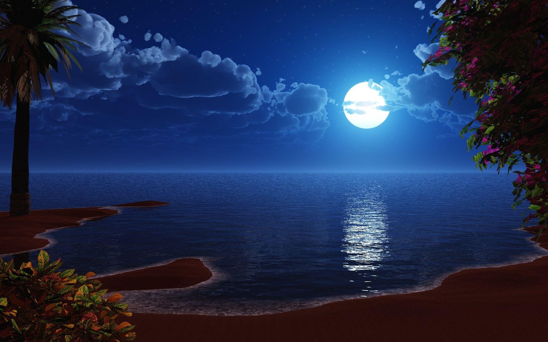 1920x1200 Beach At Night Wallpaper