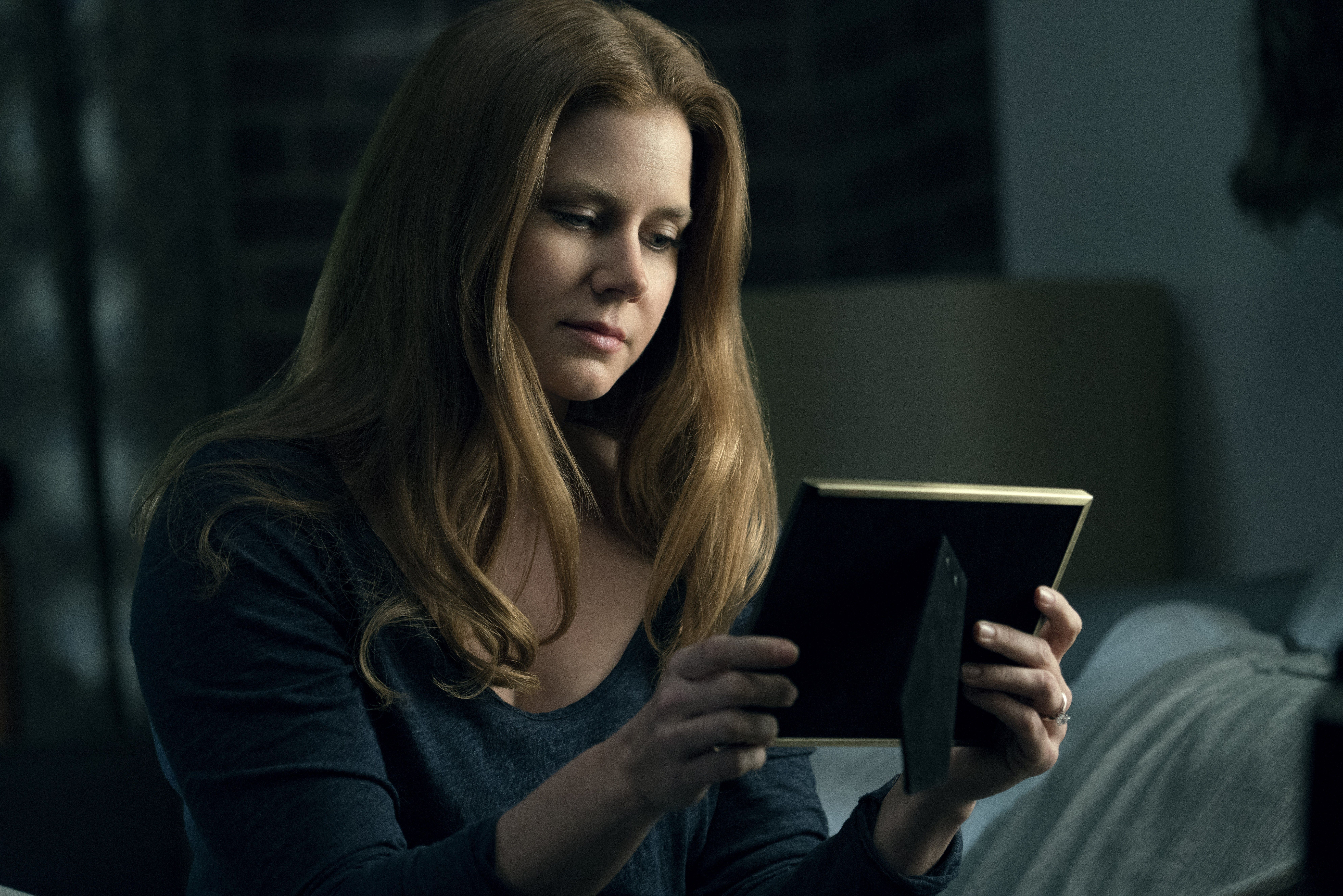7952x5304 Amy Adams As Lois Lane In Justice