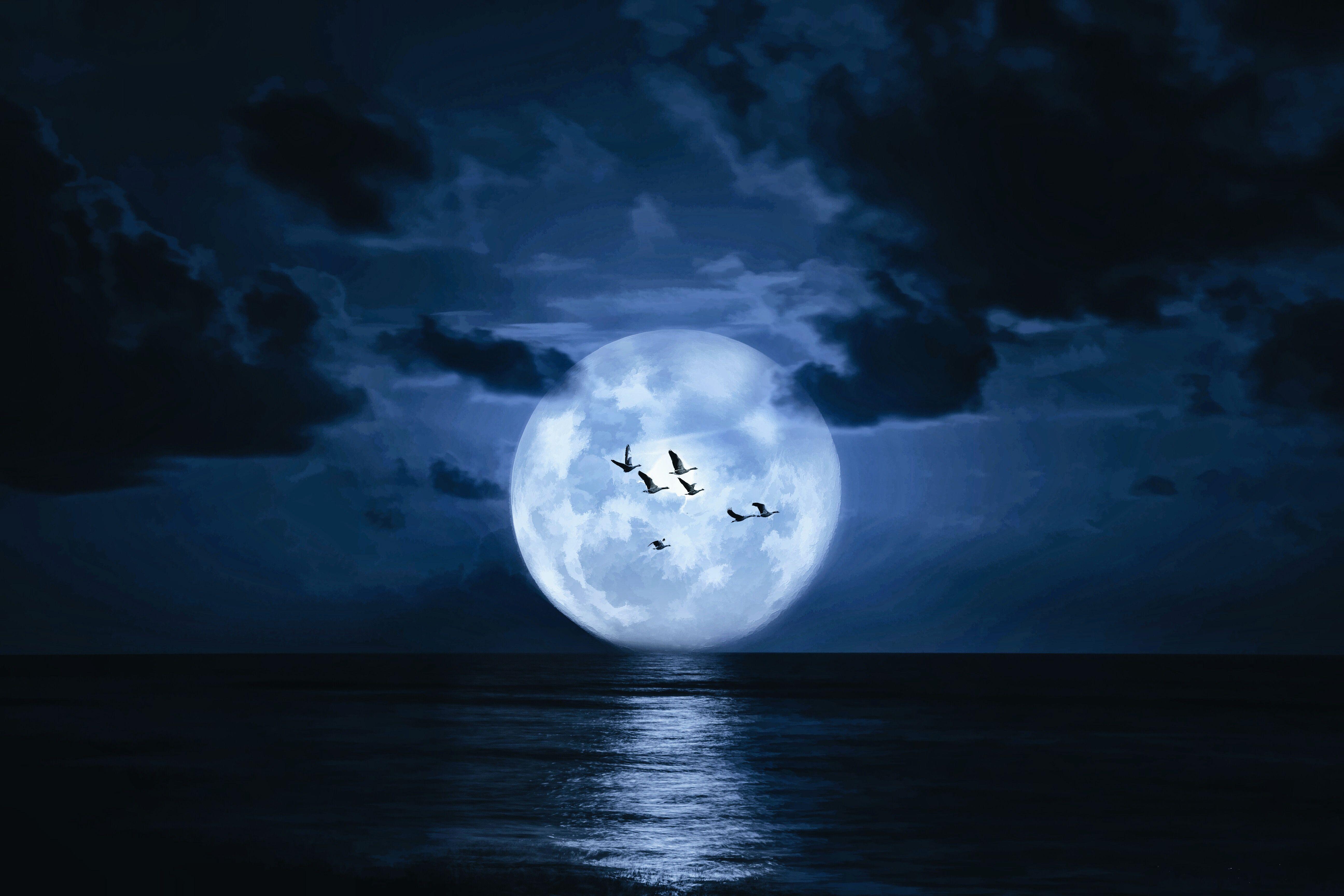 Midnight Desktop Wallpapers Top Free Midnight Desktop Backgrounds 