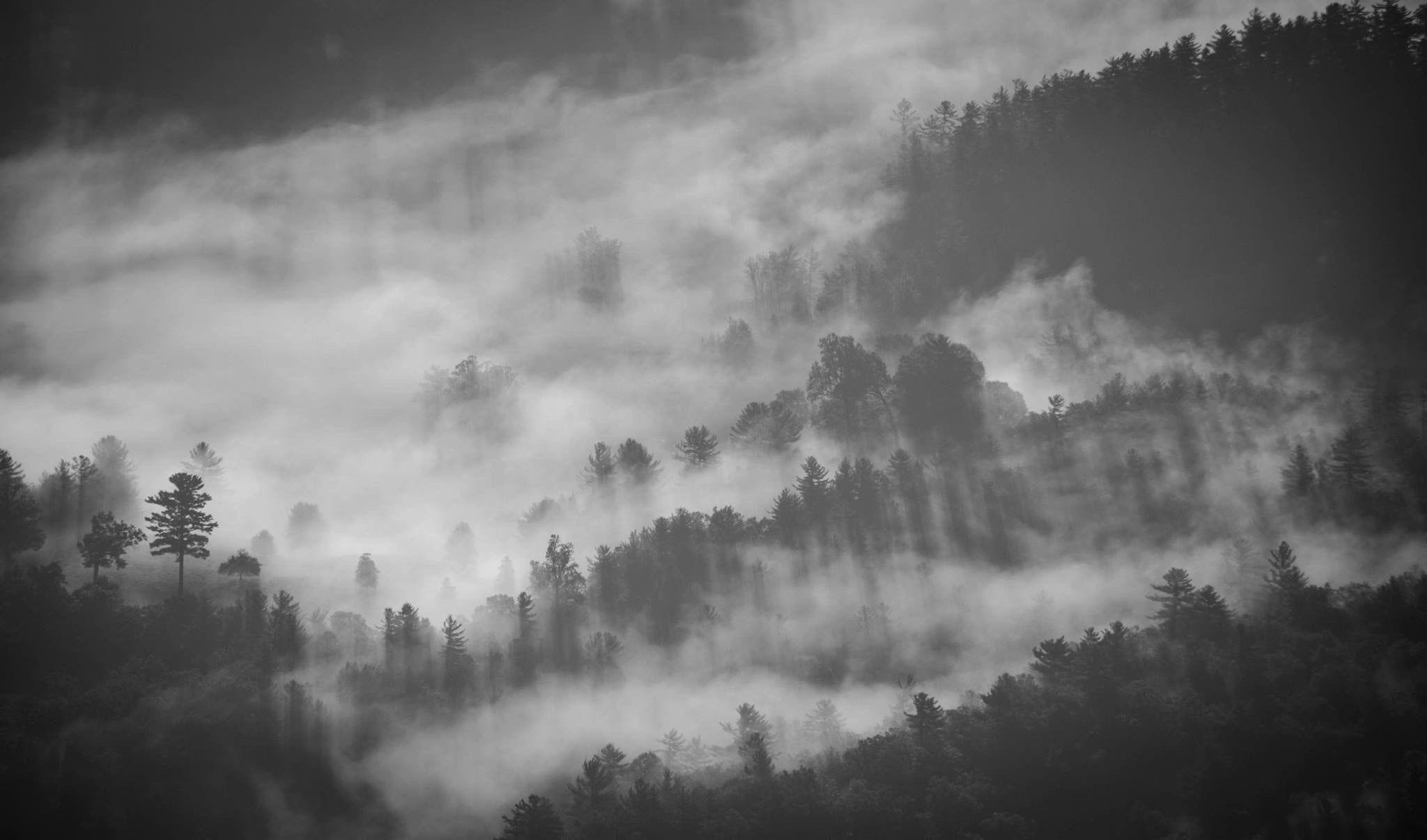 2048x1206 2048x1206 #fog, #smoke, #mist, #morning, #dark