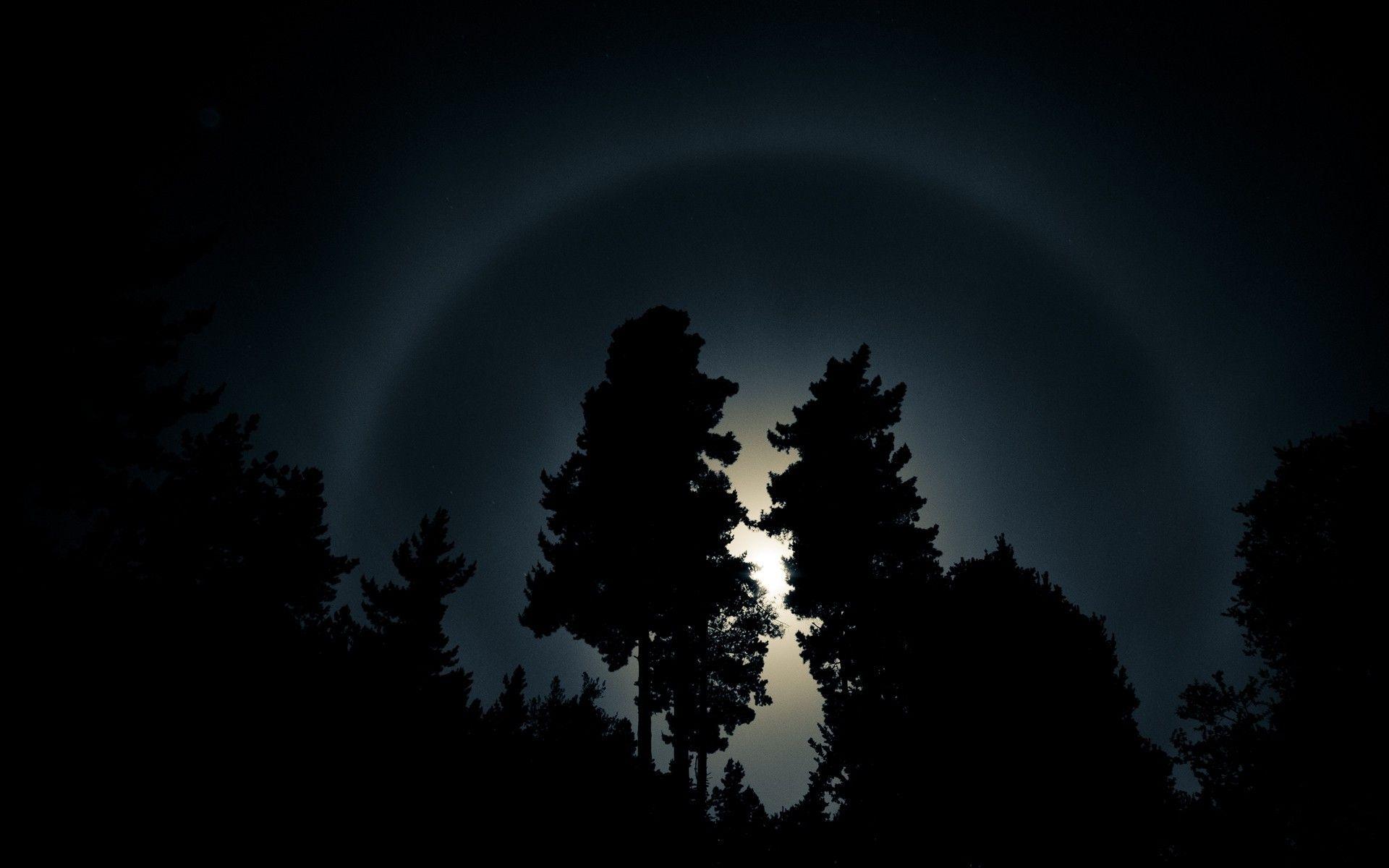 1920x1200 nature, Landscape, Rainbows, Dark, Night, Moon, Circle, Moonlight, Trees, Chile, Forest Wallpaper HD / Desktop and Mobile Background
