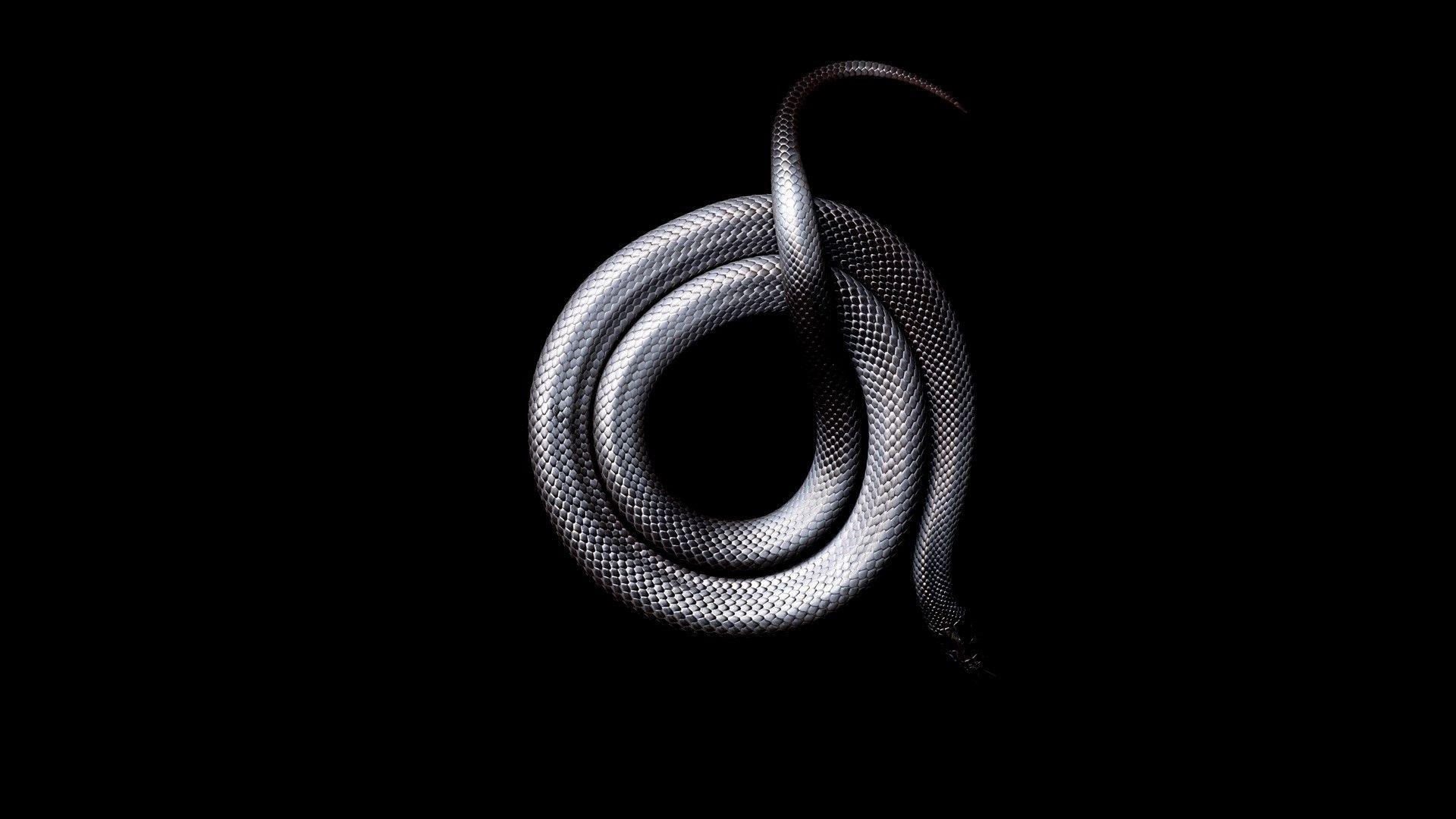 1920x1080 1920x1080 snake black dark animals wallpaper
