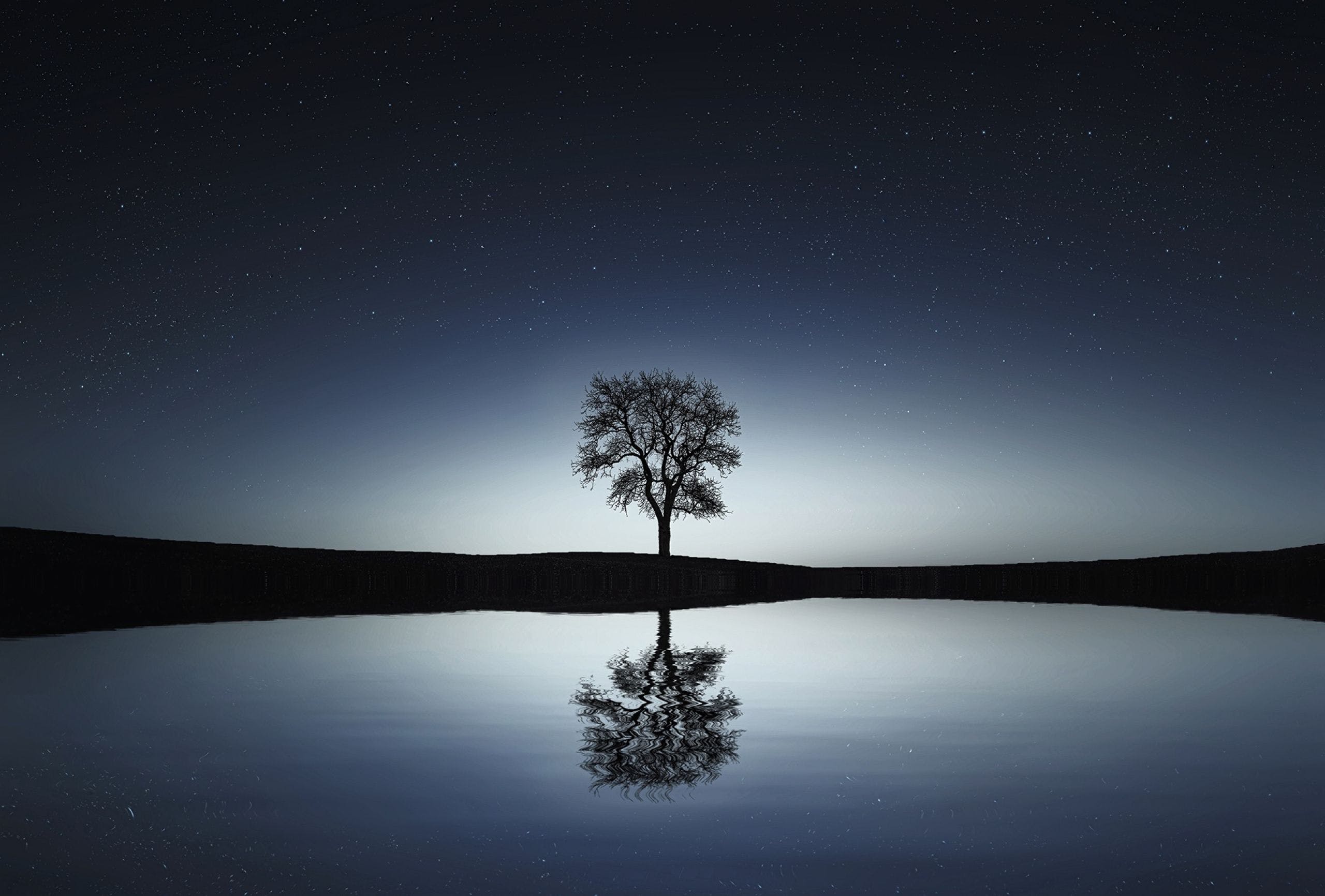 Night Tree Wallpapers - Top Free Night Tree Backgrounds - WallpaperAccess