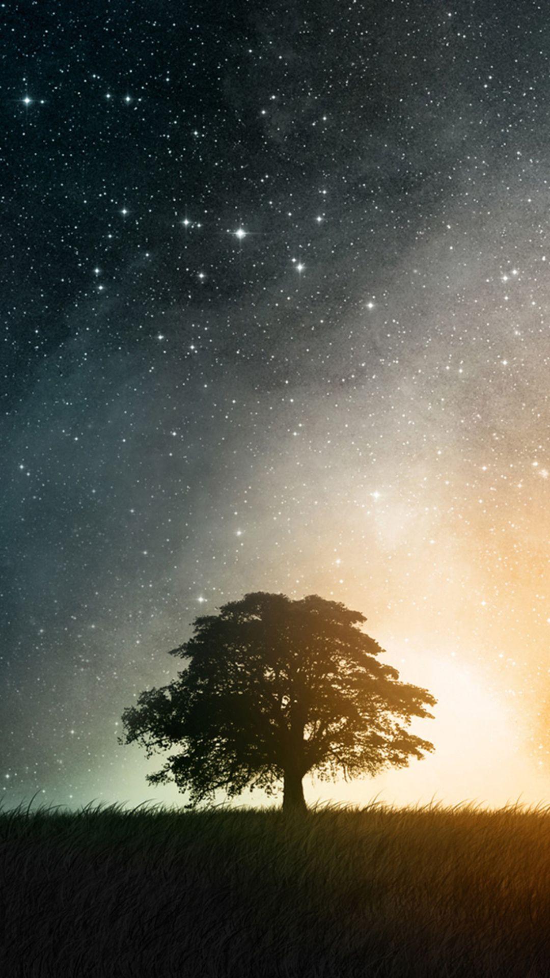 1080x1920 Night Hill Top Lonely Tree Vast Starry Skyscape iPhone 8