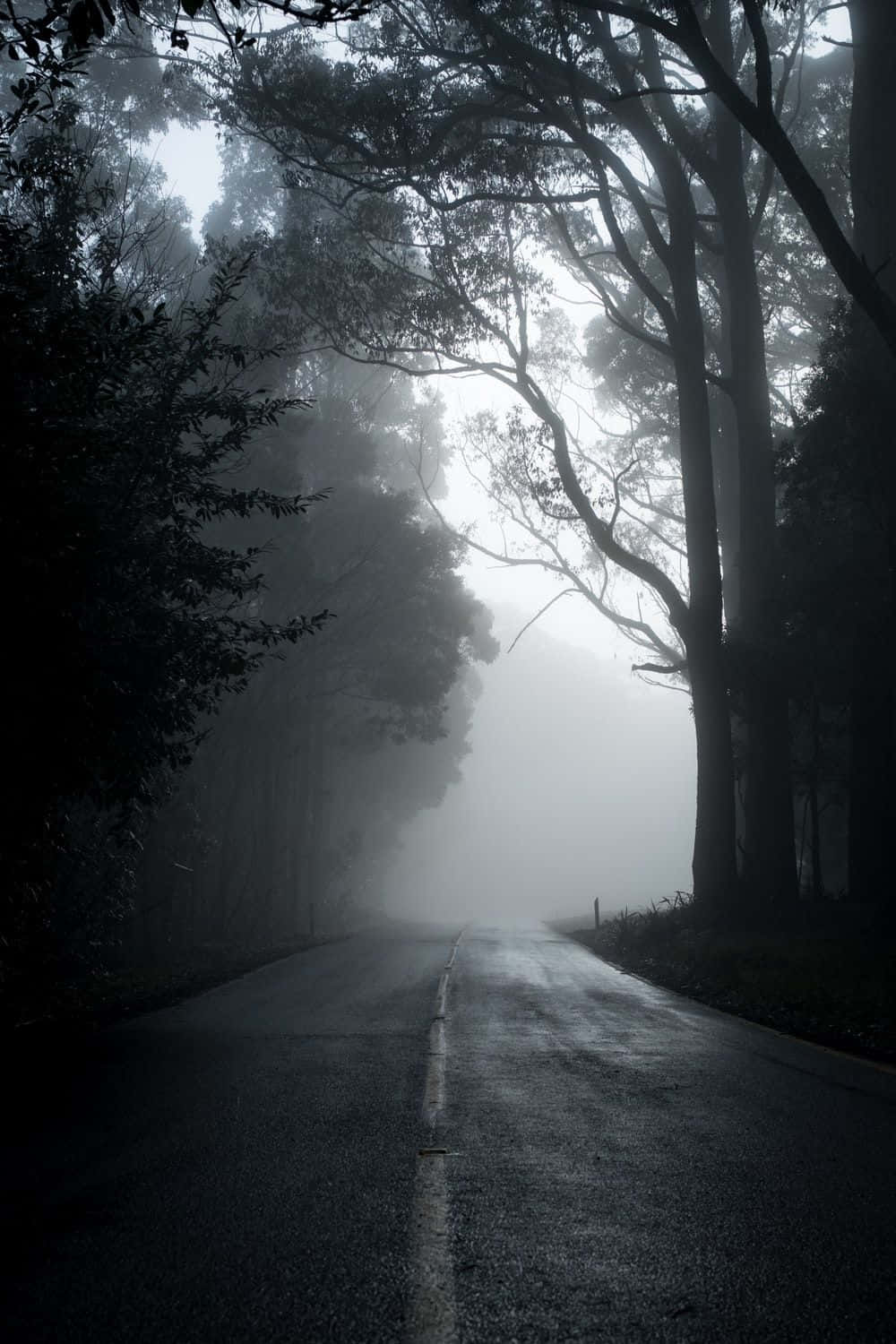 1000x1500 Mysterious Dark Road at Night Wallpaper