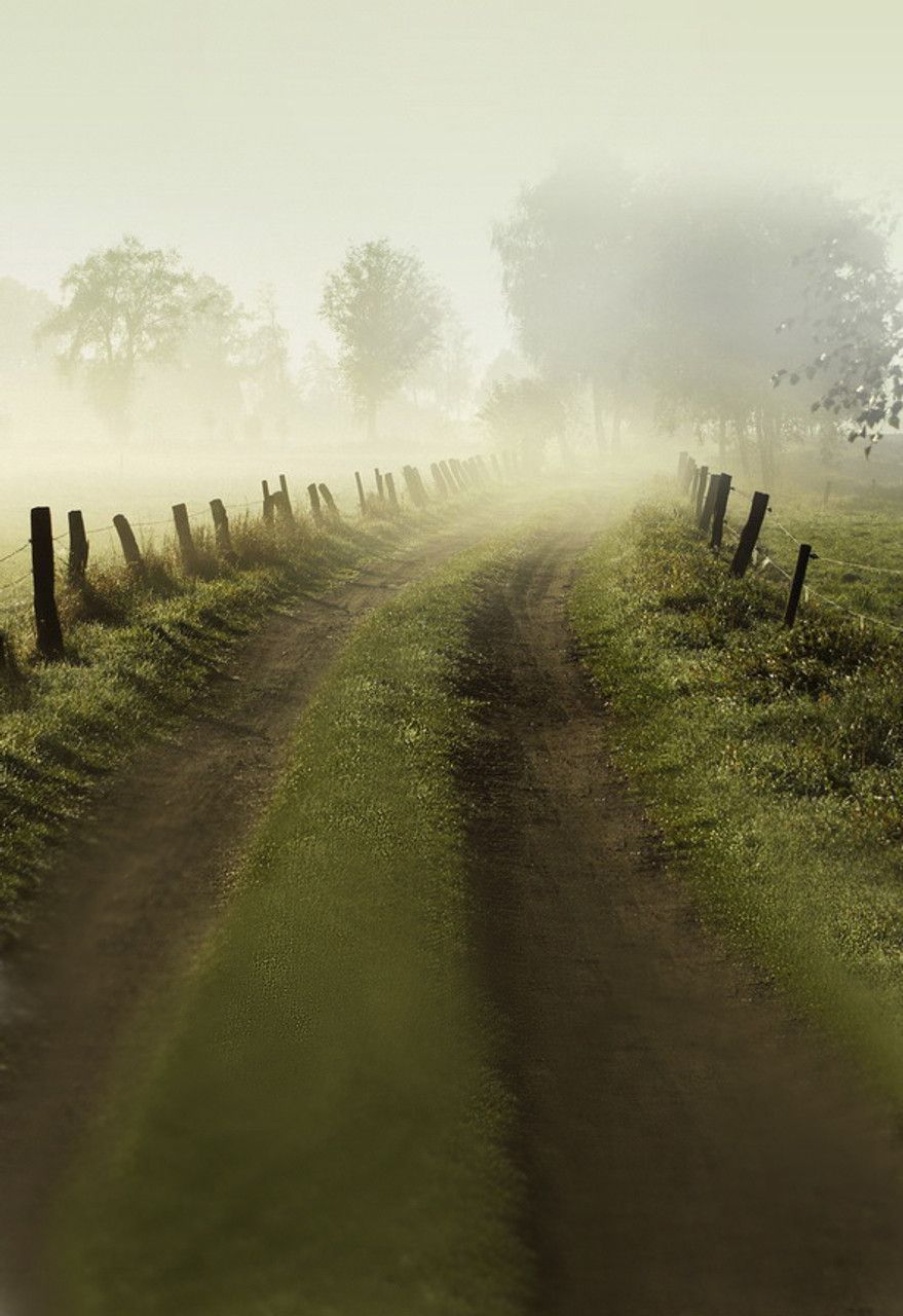 879x1280 Foggy Road Backdrop