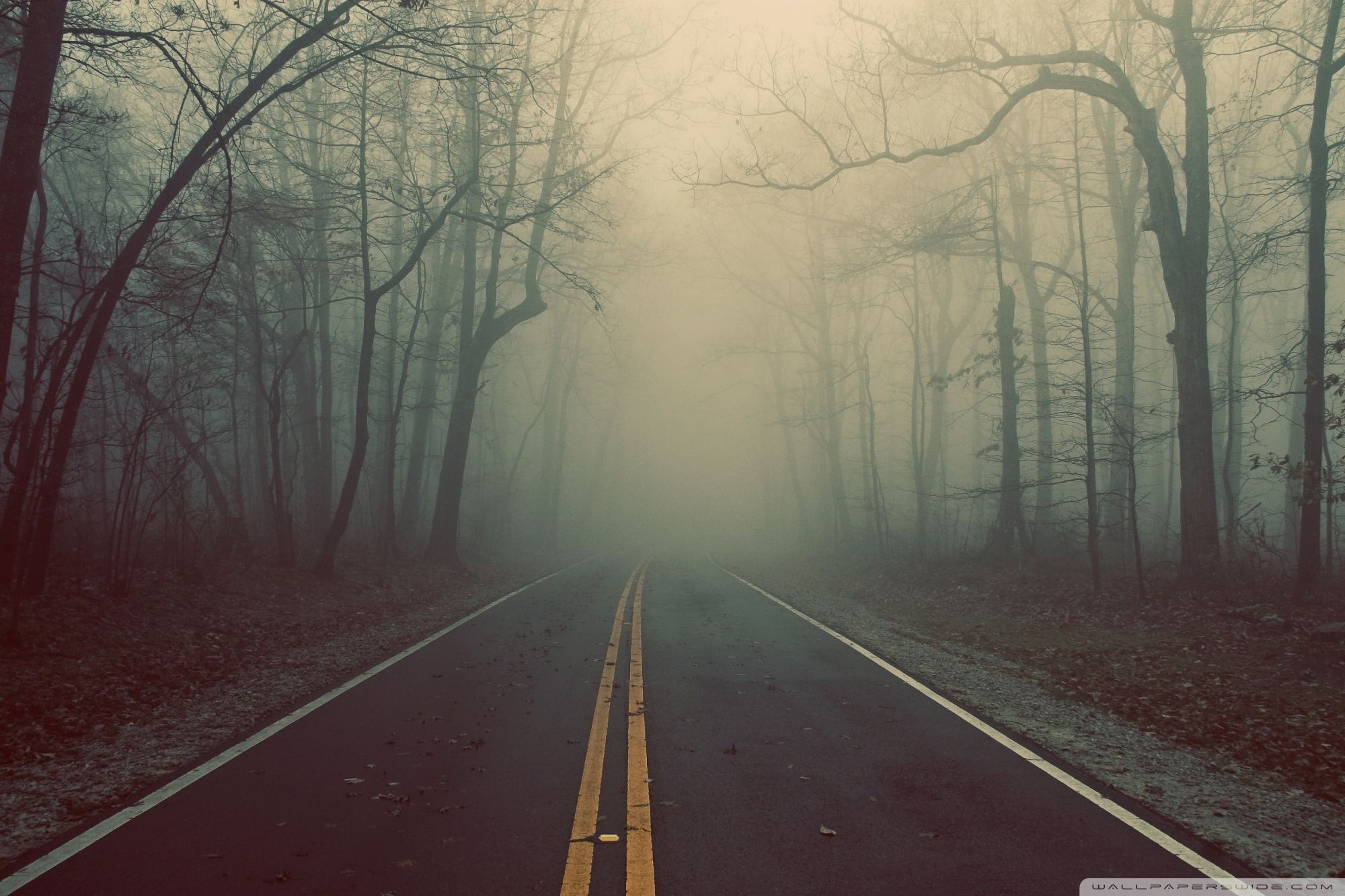 2000x1333 Foggy Road Ultra HD Desktop Background