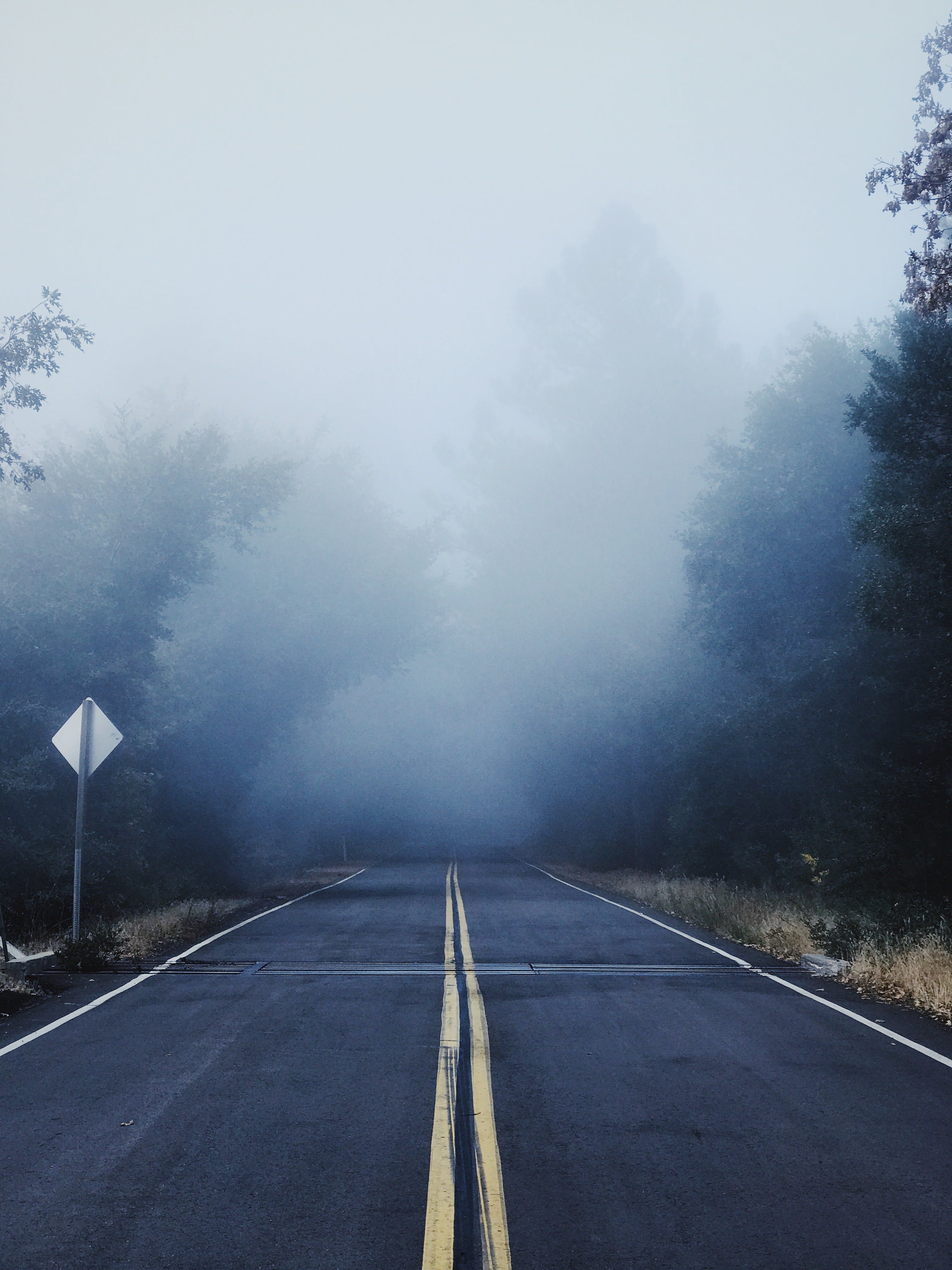 3024x4032 Gray Concrete Road Between Trees