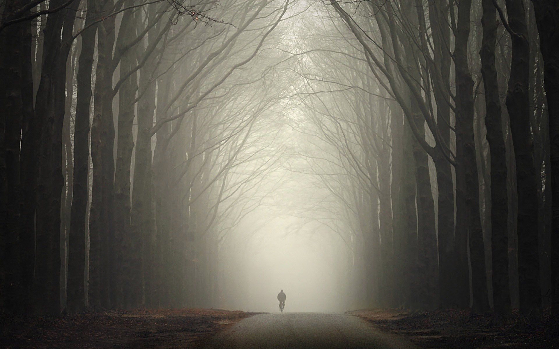 1920x1200 Autumn Foggy Road Wallpaper
