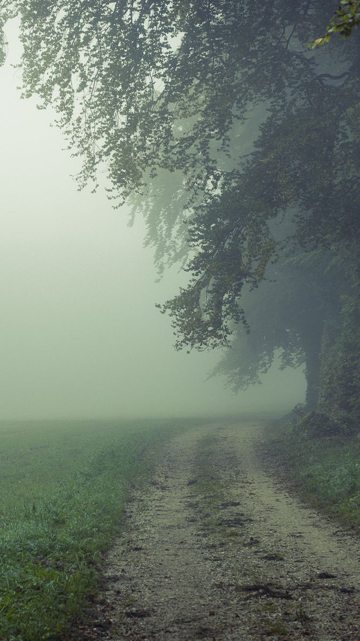 736x1308 Country Misty Roads #iPhone #plus