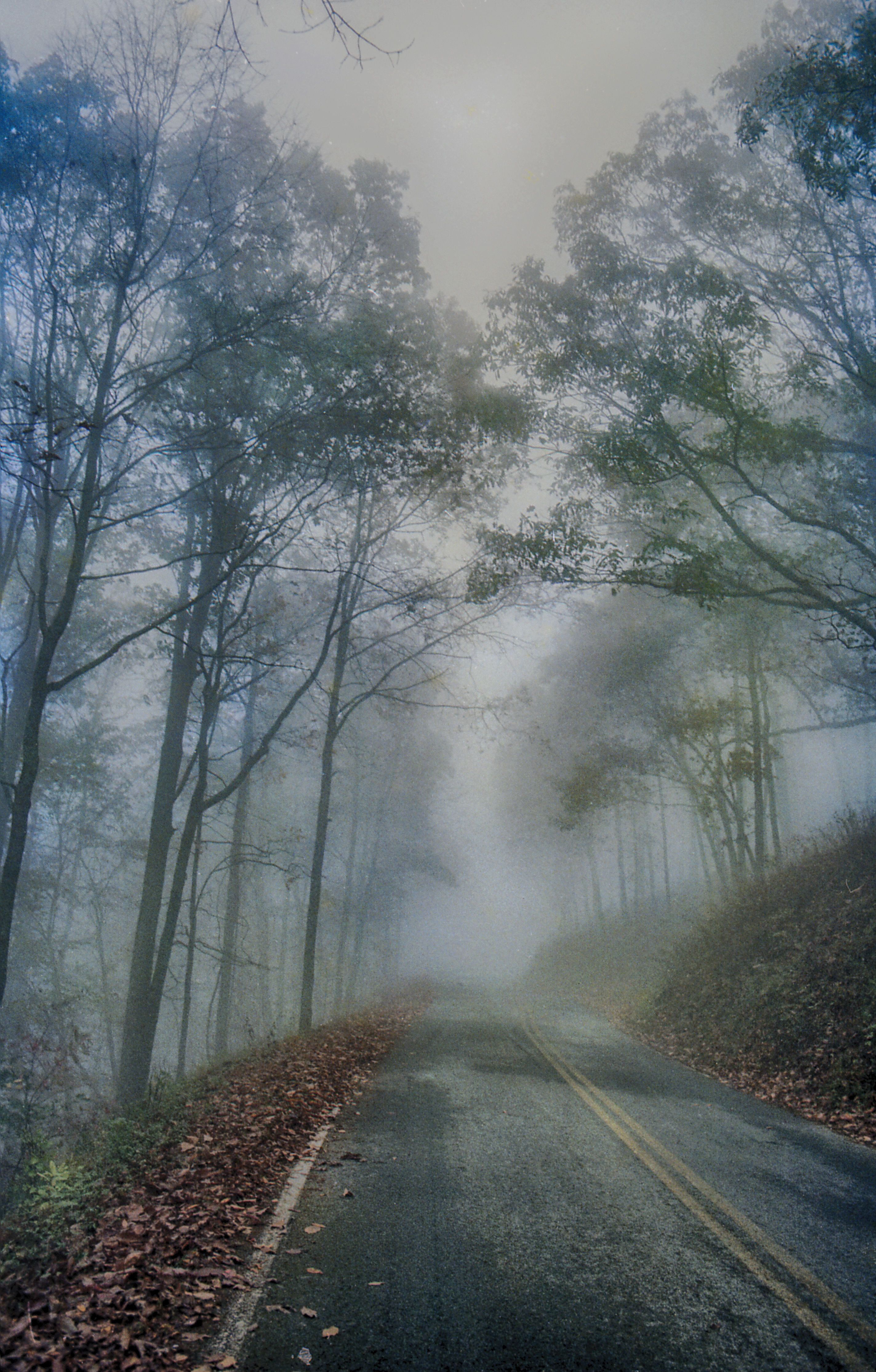 2847x4458 Foggy Road