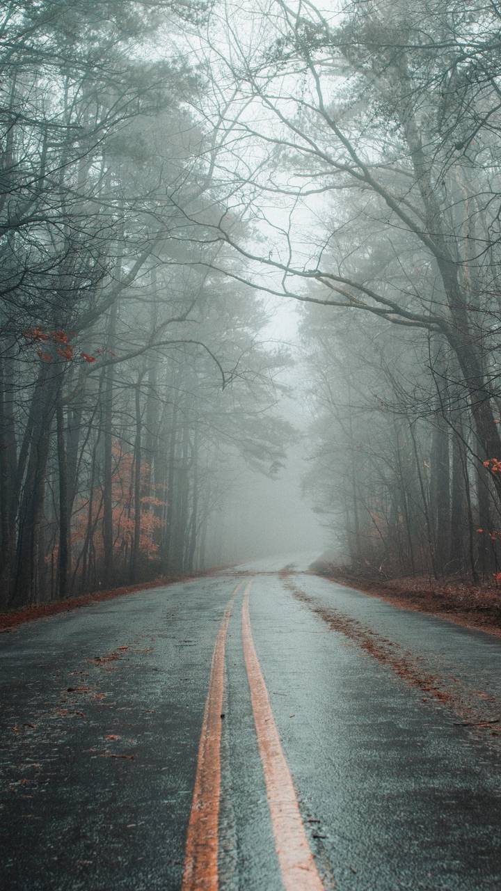 720x1280 iPhone Foggy Autumn Wallpaper