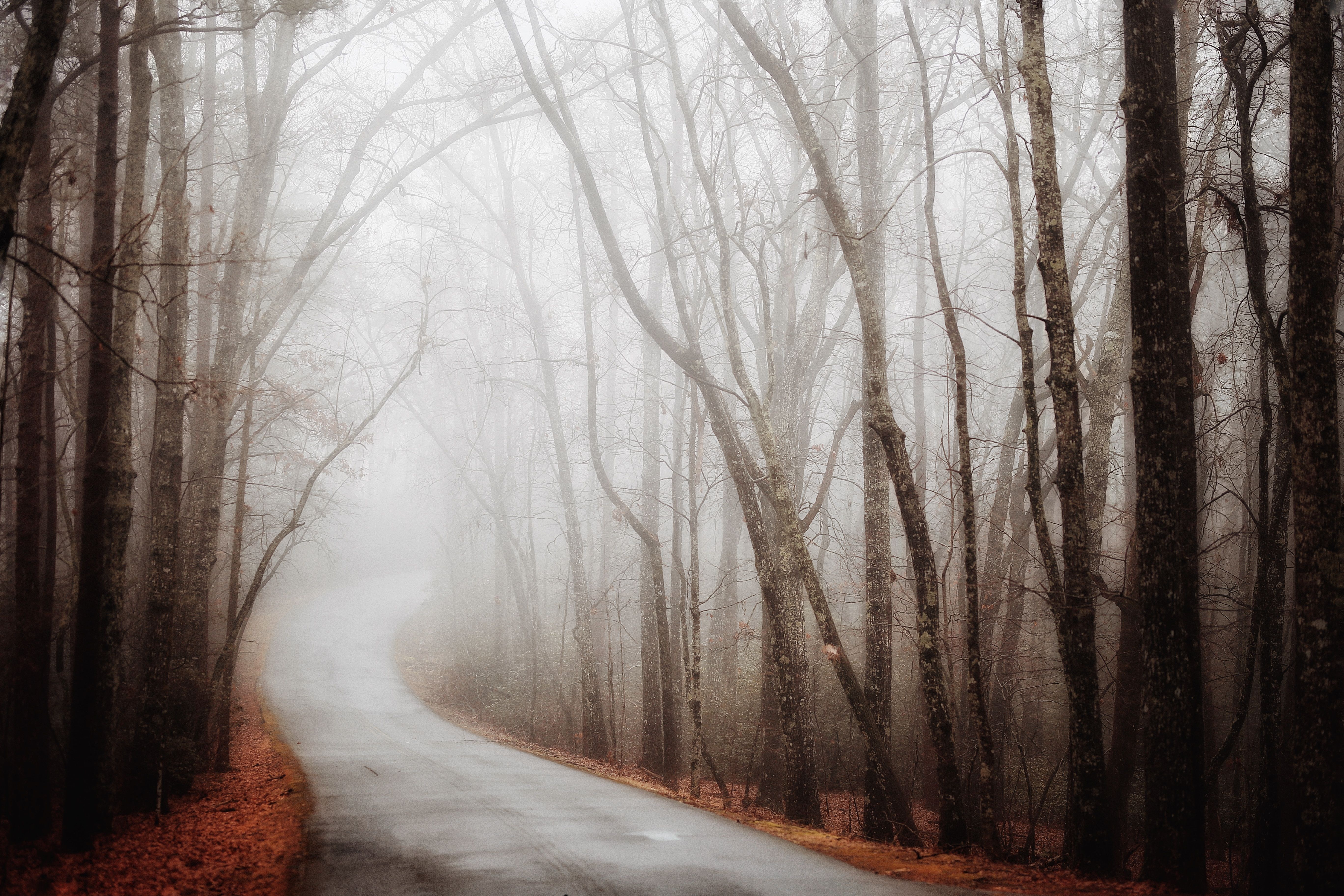 5472x3648 HD desktop wallpaper: Fog, Road, Nature