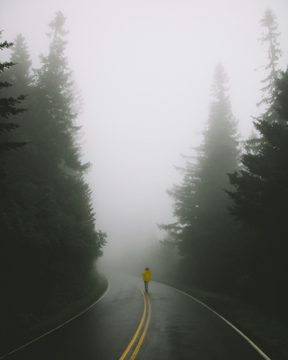 1000x1250 Fog Road Picture. Download Free