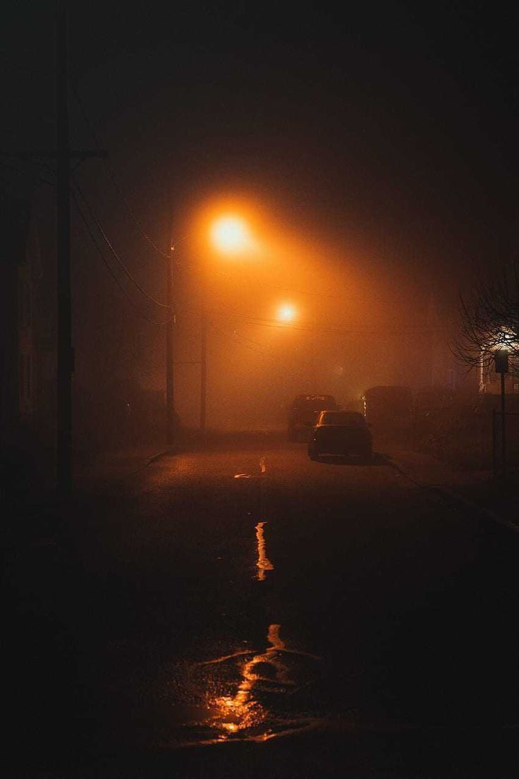 736x1104 keywords fog, Lamp, Lantern, light