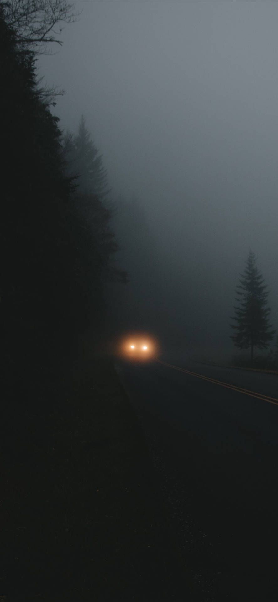 887x1920 Best Dark iPhone Foggy Road Wallpaper