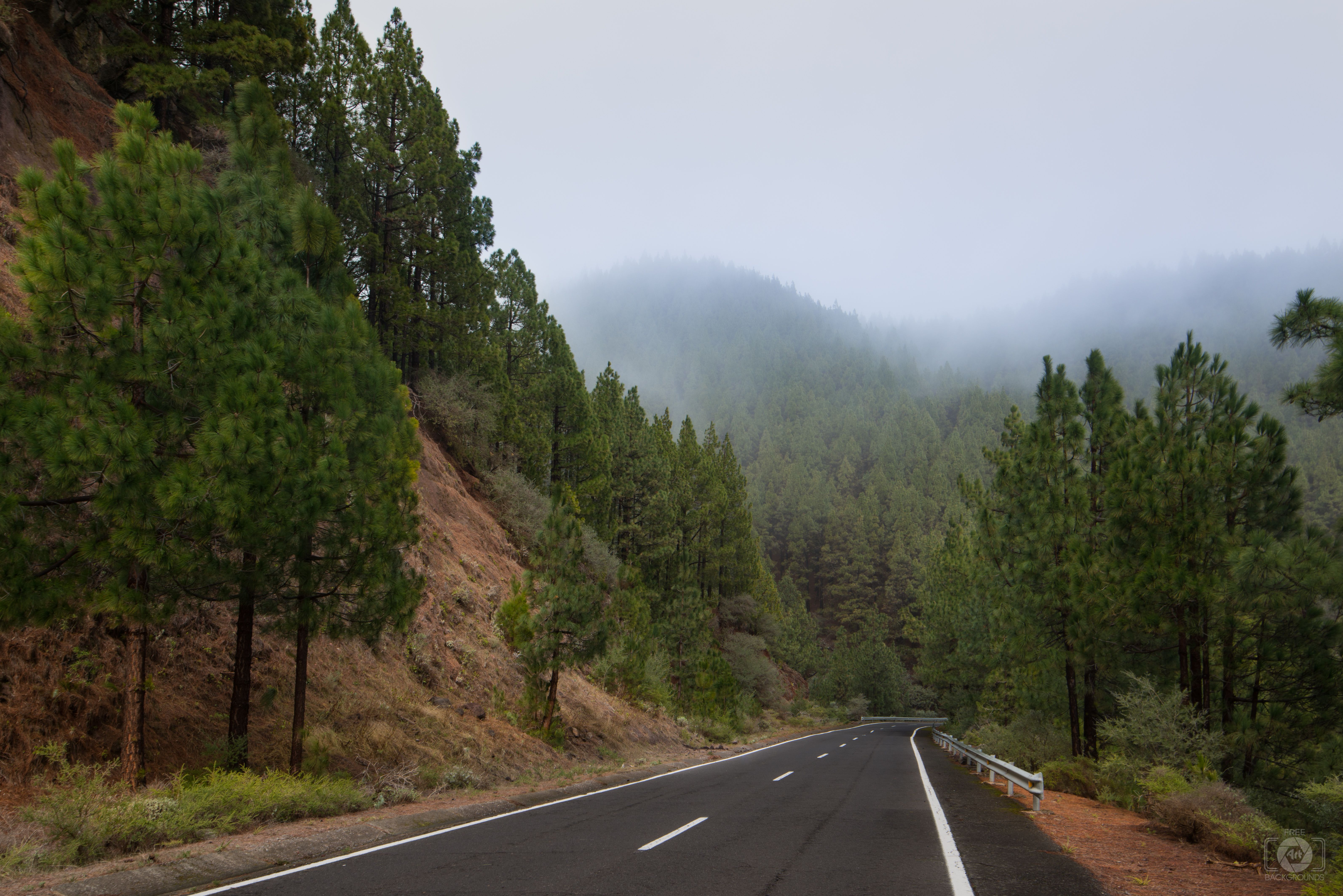6376x4255 Foggy Mountain Road Background