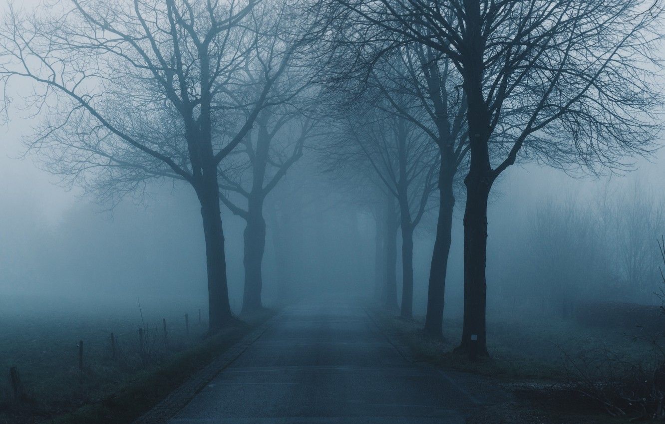 1332x850 Foggy Road Wallpaper