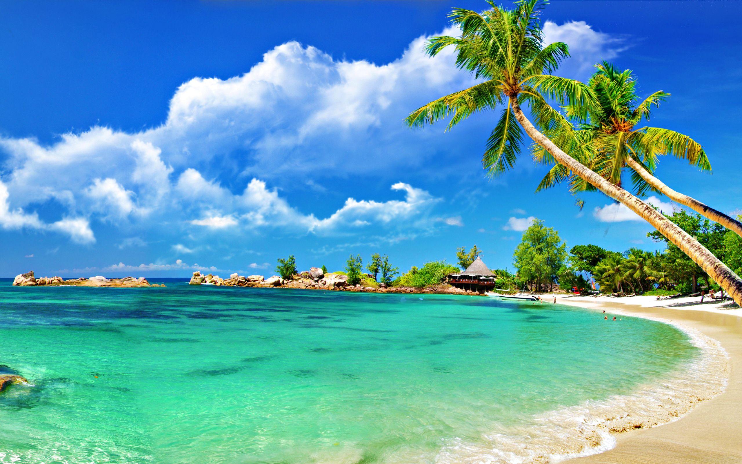 Beach Pc Wallpapers Top Free Beach Pc Backgrounds Wallpaperaccess