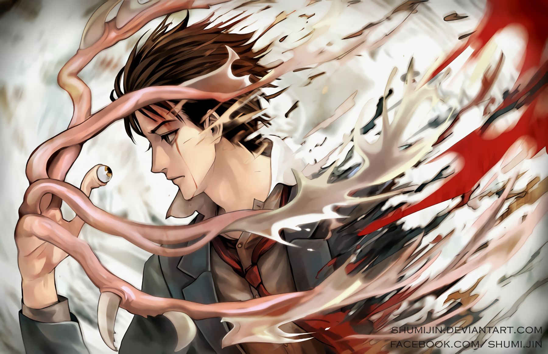 1800x1164 Mobile wallpaper: Anime, Parasyte