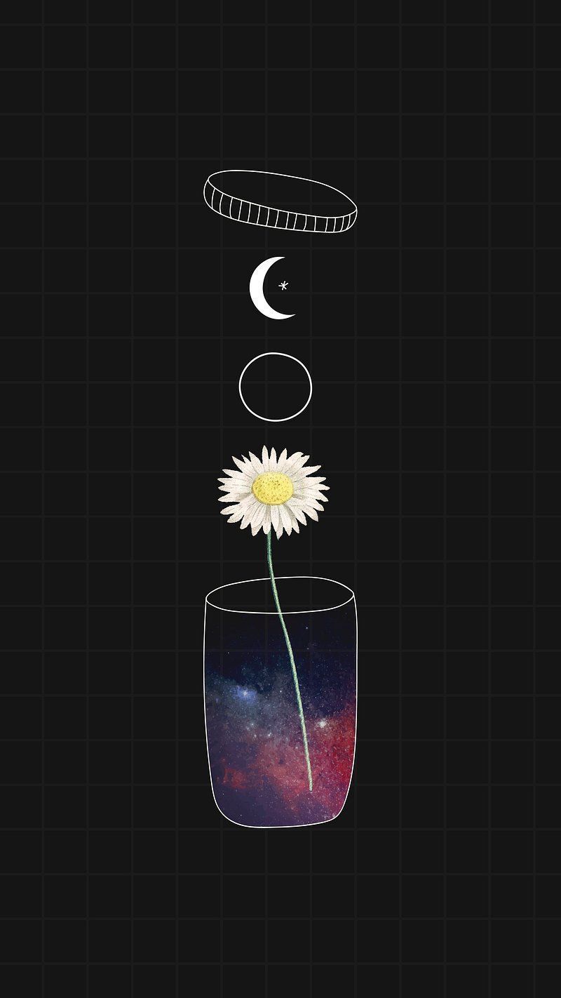 800x1422 iPhone Wallpaper Wallpaper