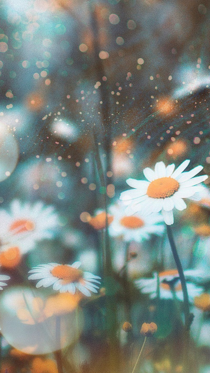 800x1422 Wallpaper Phone Phone Wallpaper