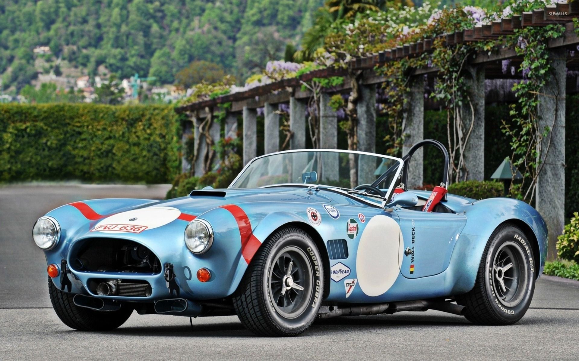 1920x1200 Shelby Daytona wallpaper