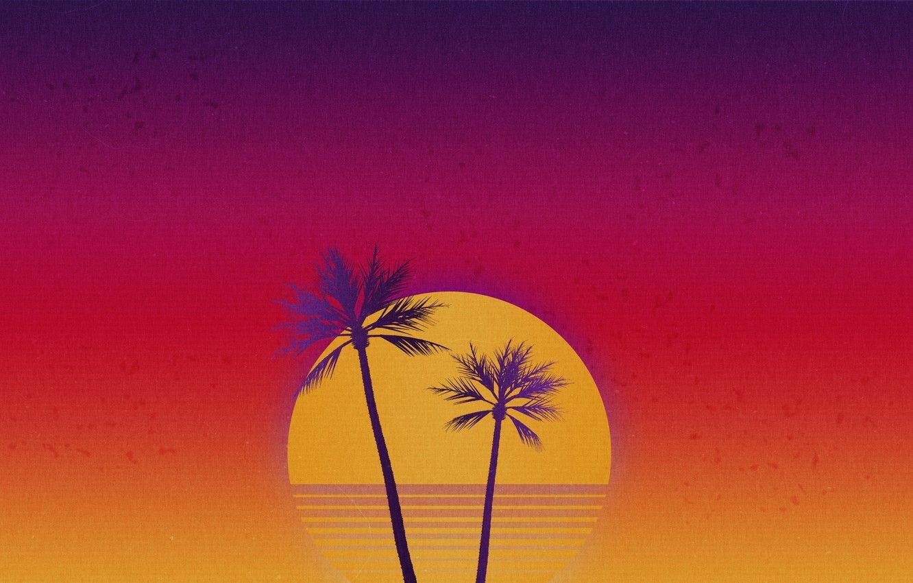 80s Palm Trees Wallpapers Top Free 80s Palm Trees Backgrounds